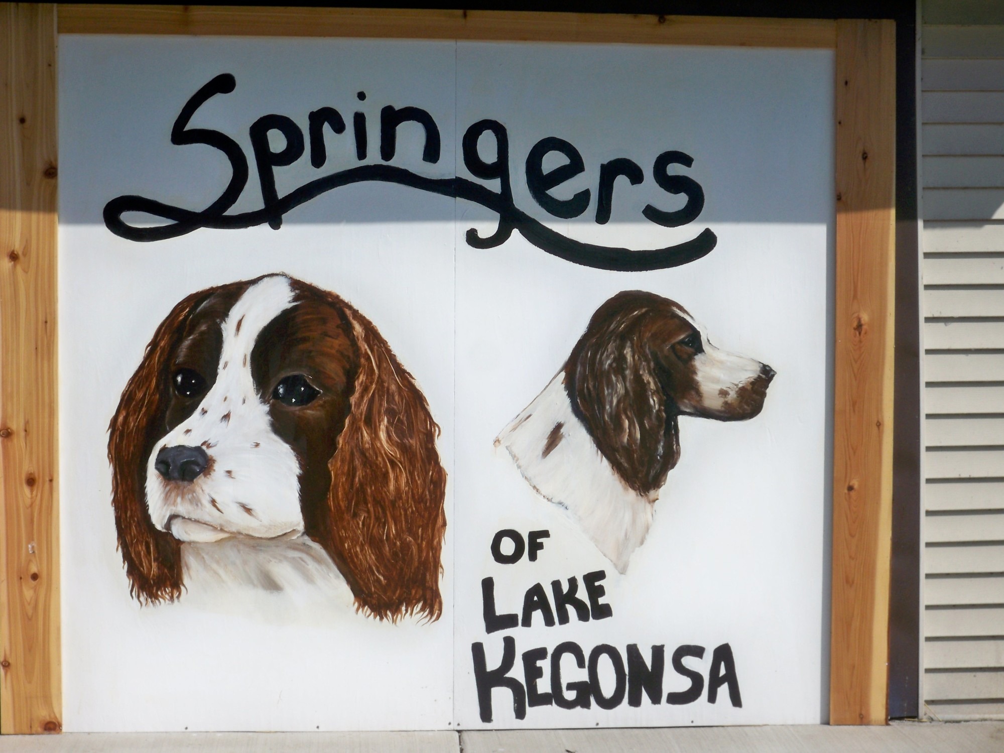 Springers Stoughton