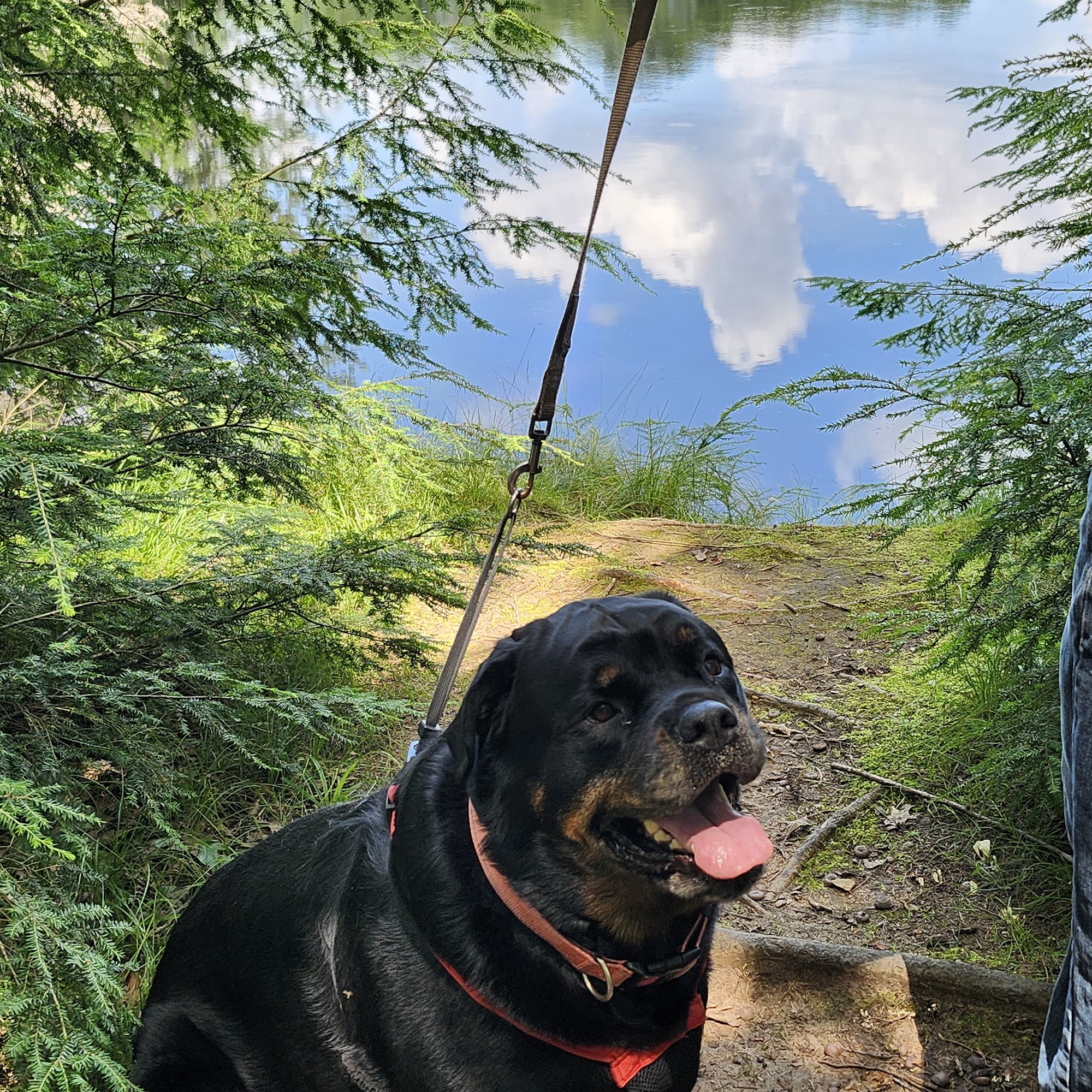 Stoughton Veterinary Service Stoughton