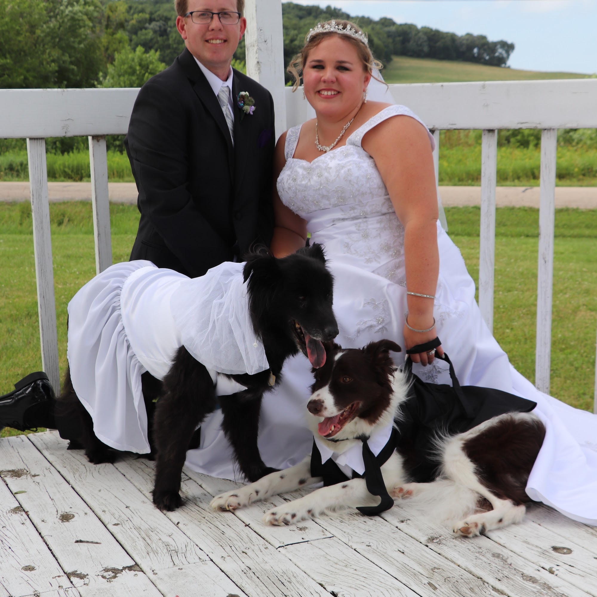 Sun Prairie Pet Clinic Inc: Vitale Christopher DVM Sun Prairie