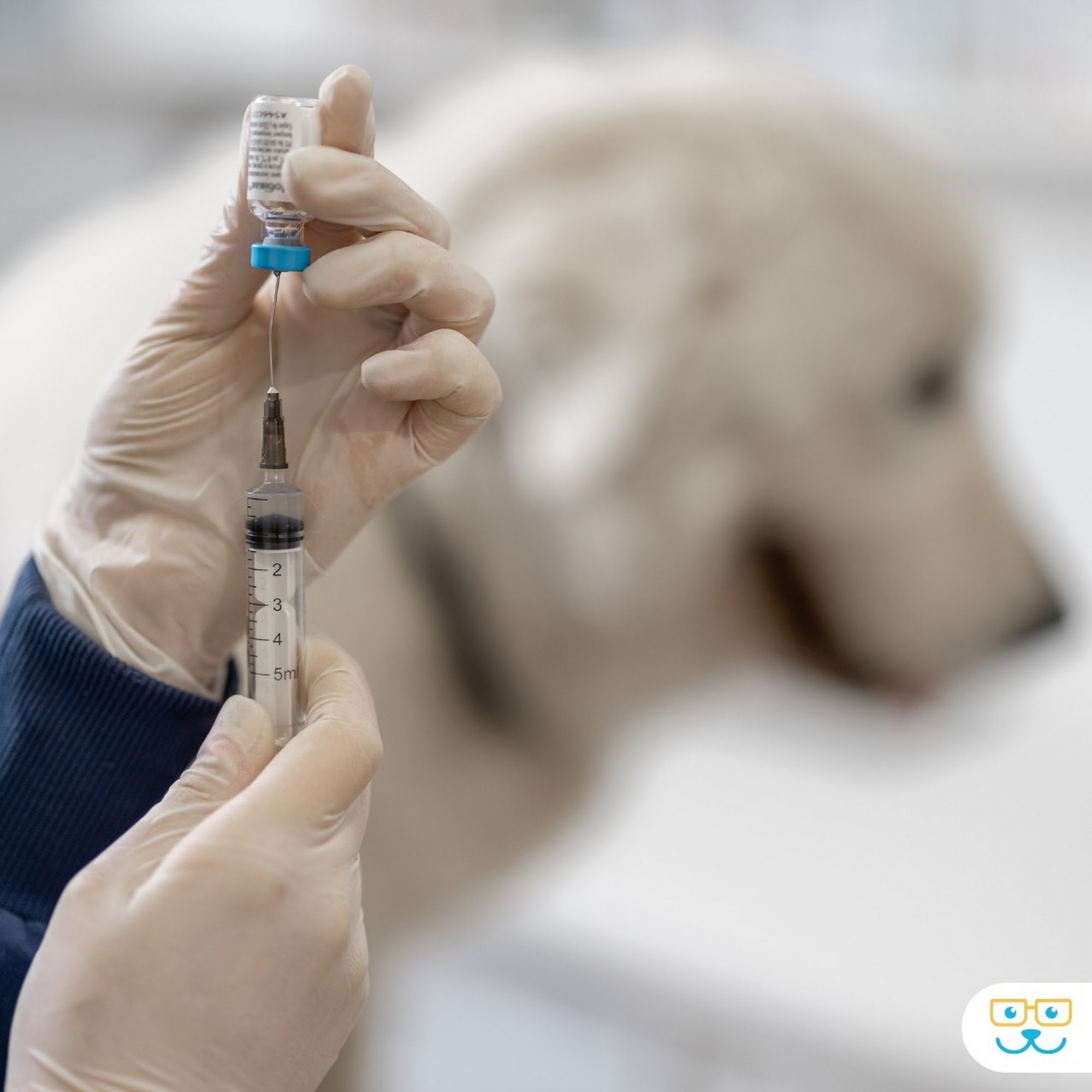 Nature's Preserve Pet Care Sun Prairie