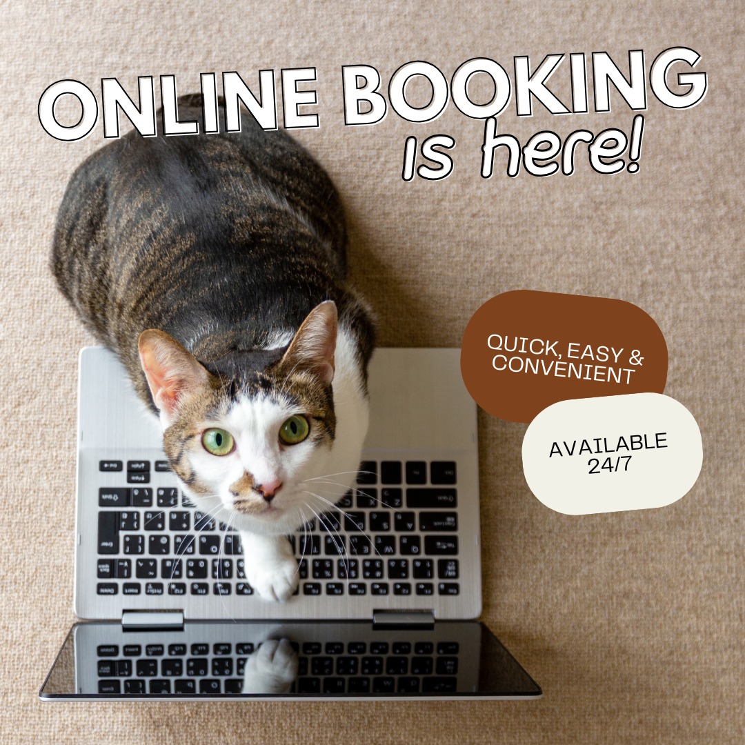 Animal Hospital of Sun Prairie: Beth Midthun, DVM Sun Prairie
