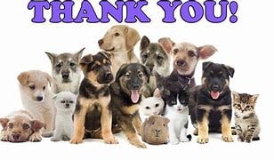 Happy Tails Pet Services Inc