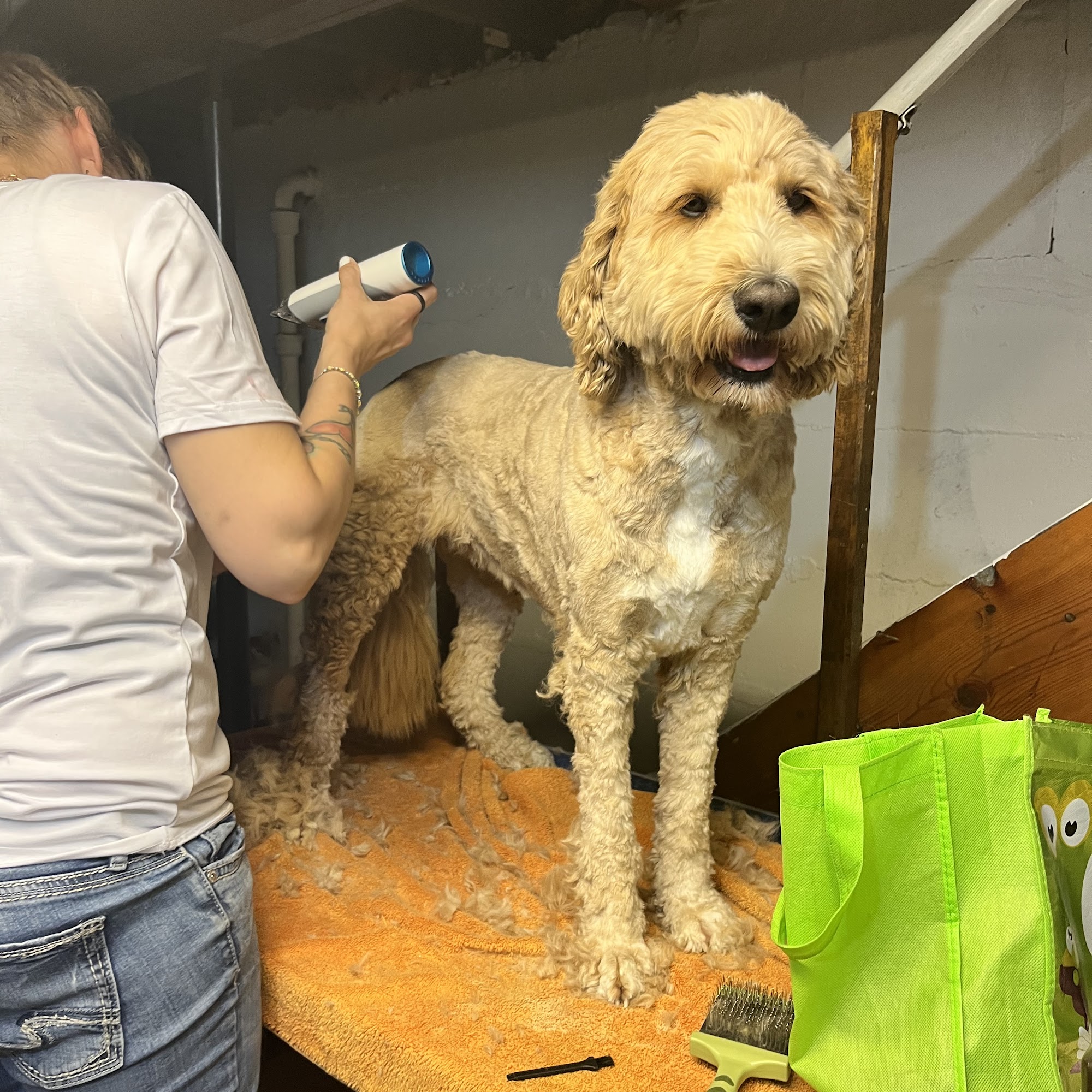 Purr-fectly Superior Grooming Superior