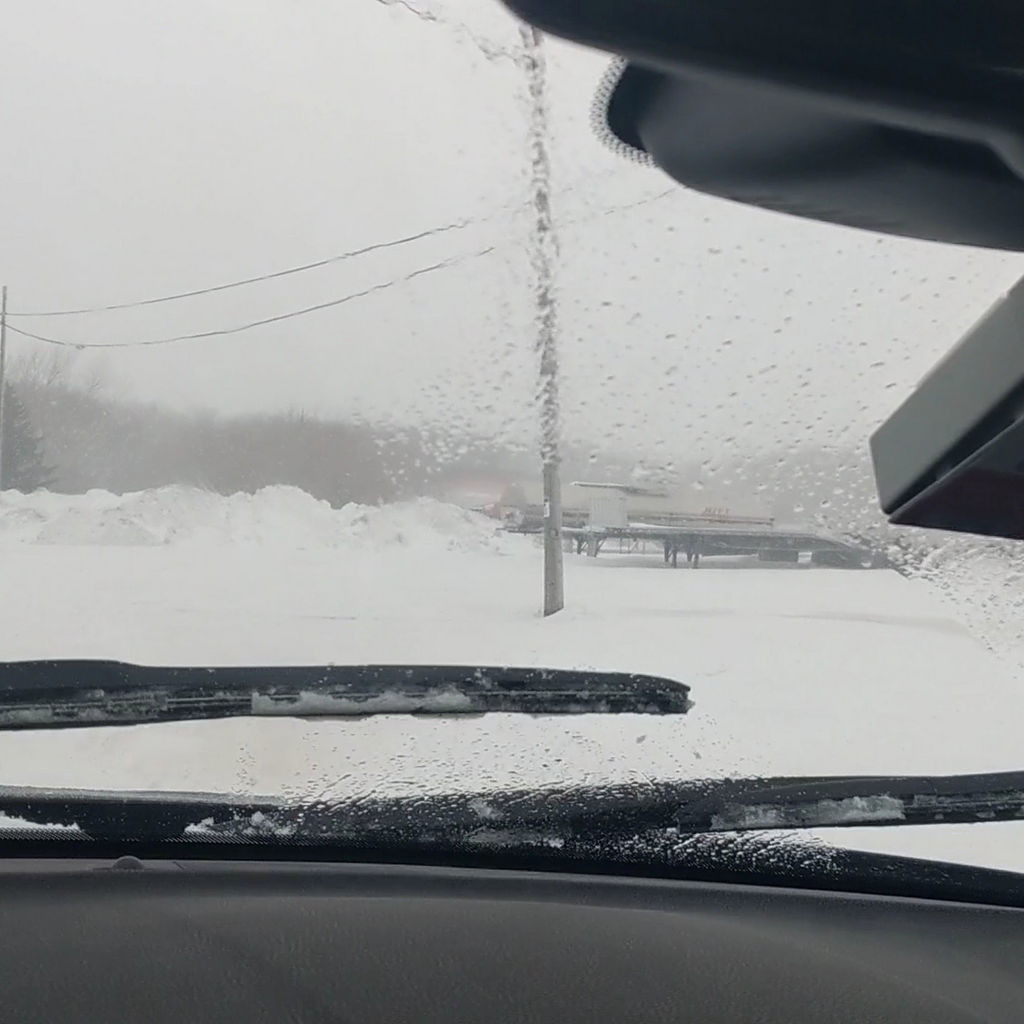 Jennifer Shamla, DVM Superior