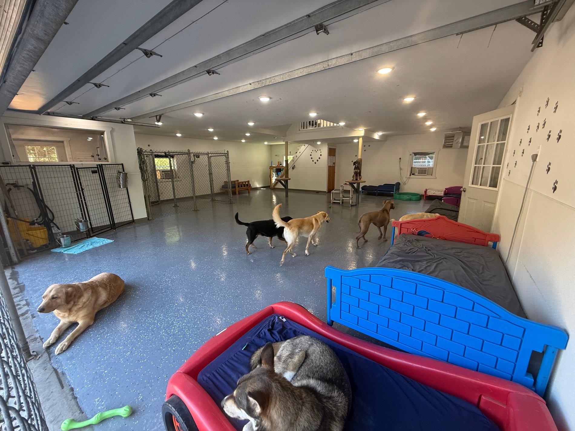 Marcie's Country Pet Spa Tomah