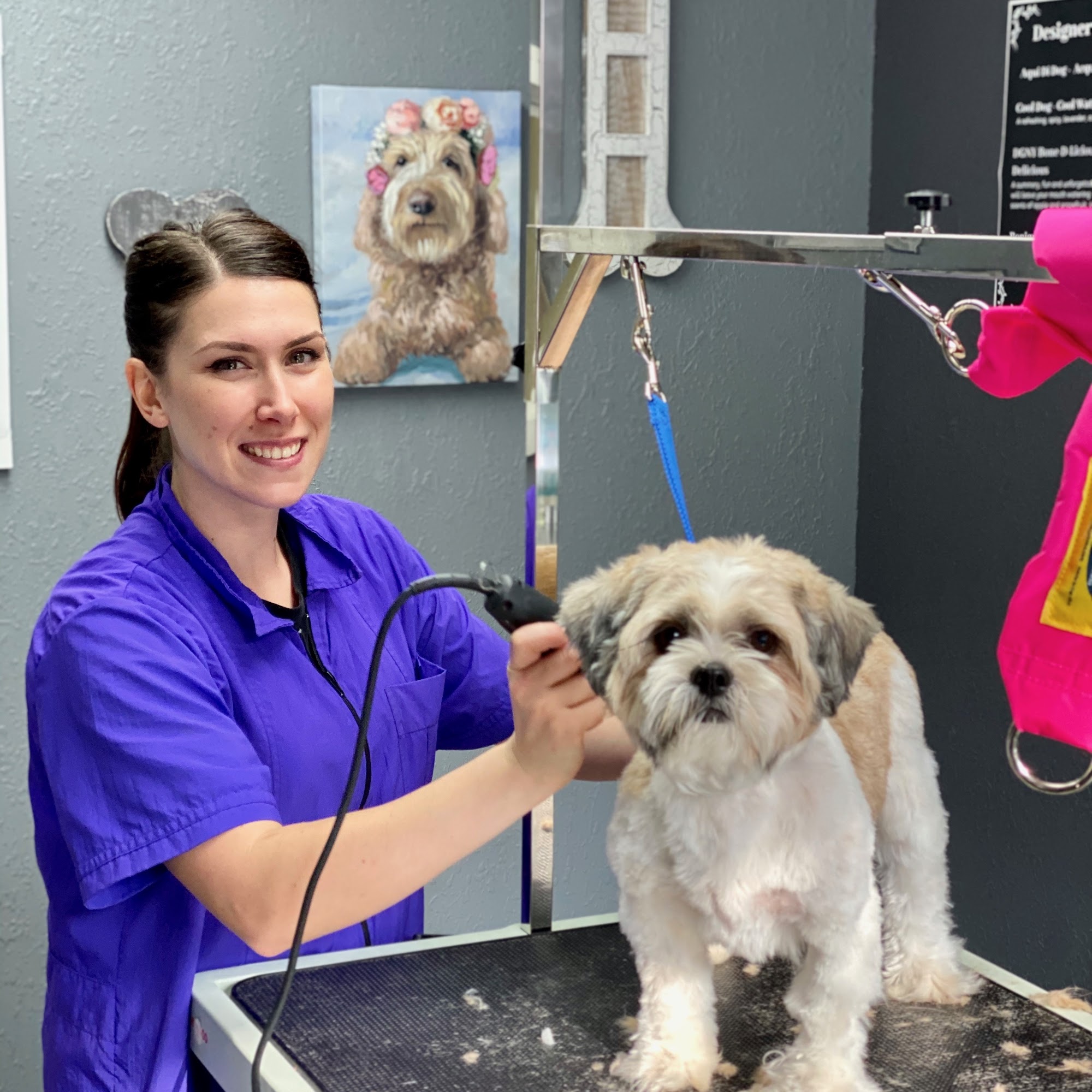 The Dog Spaw Twin Lakes