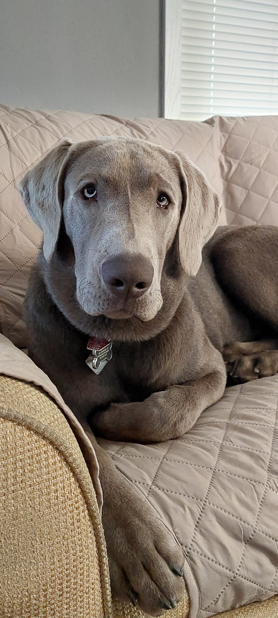 West Twin Kennels Two Rivers