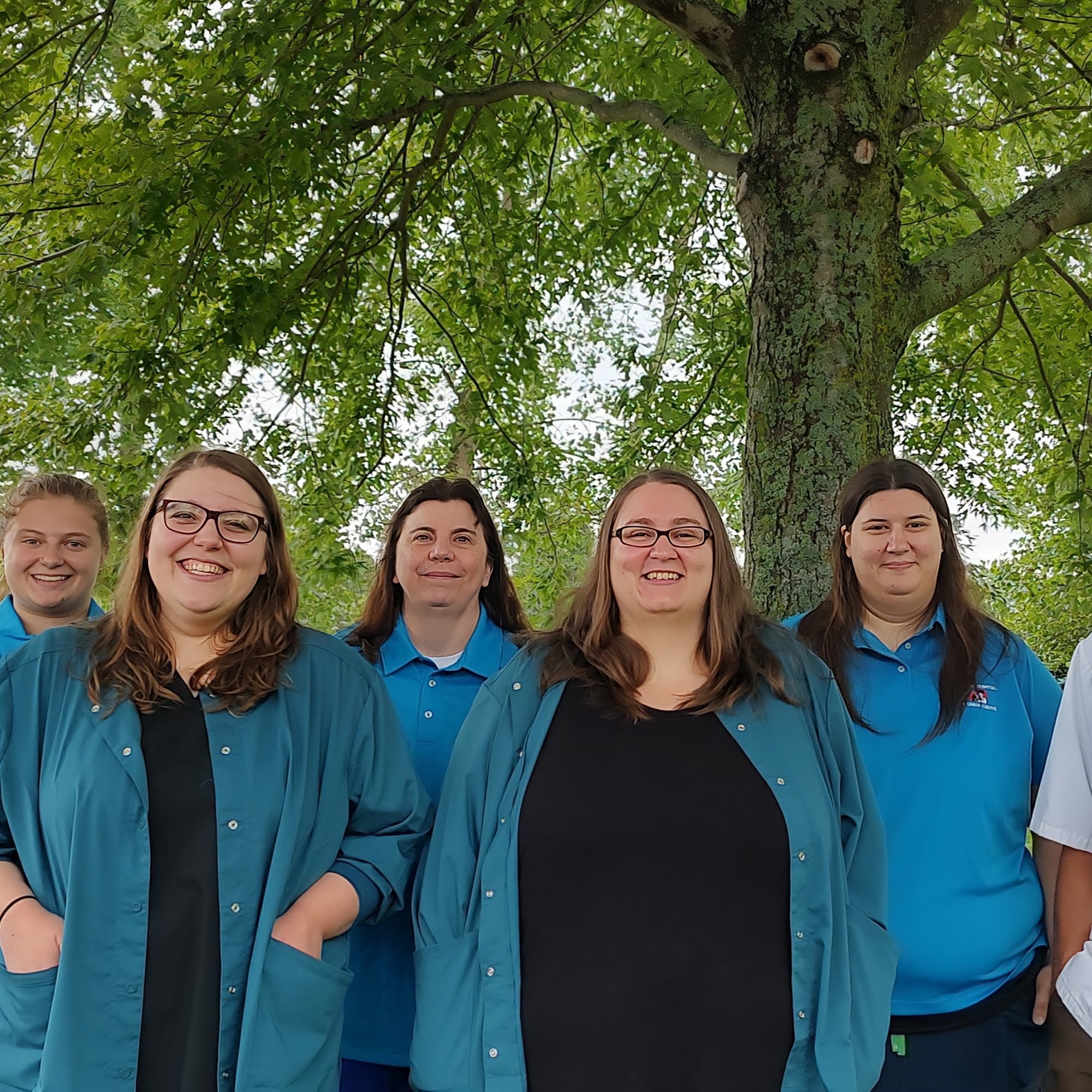 Animal Hospital of Union Grove Union Grove