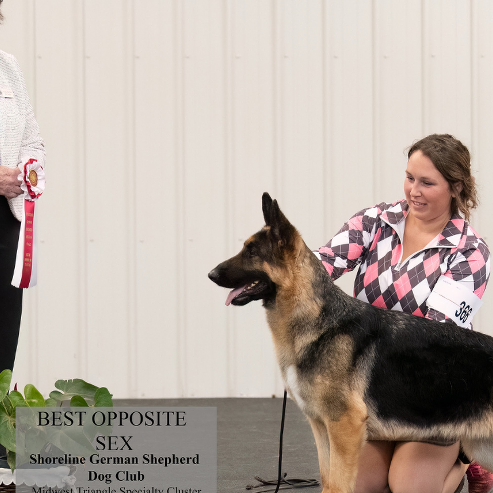 Playmate Kennels and Stables Union Grove