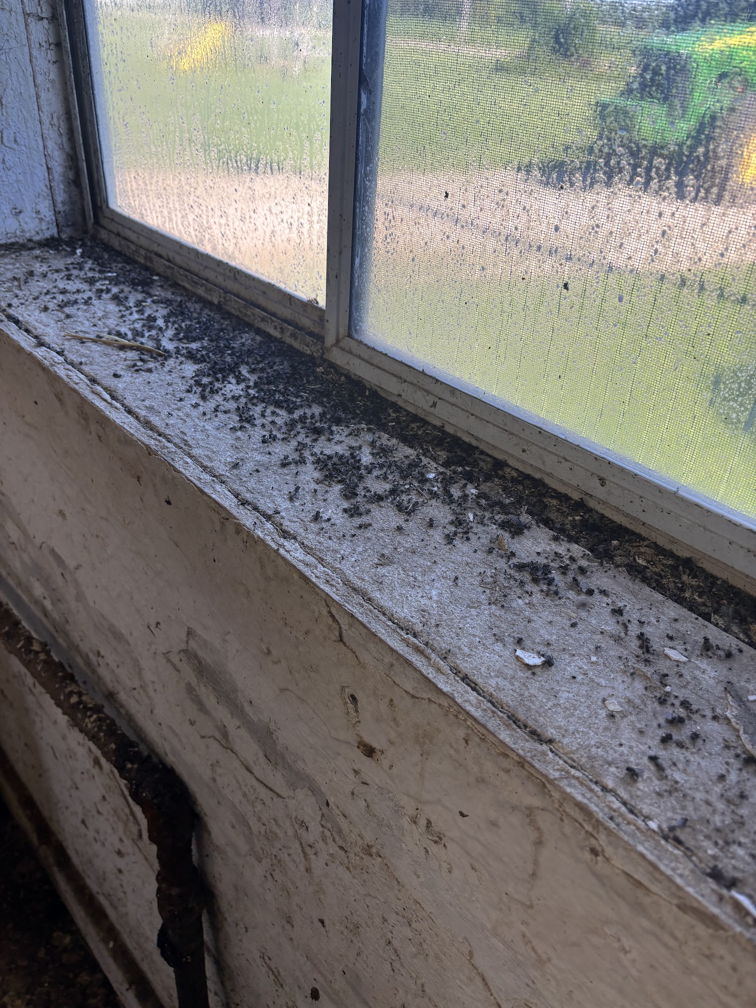 Lakeside Pest Control Llc.