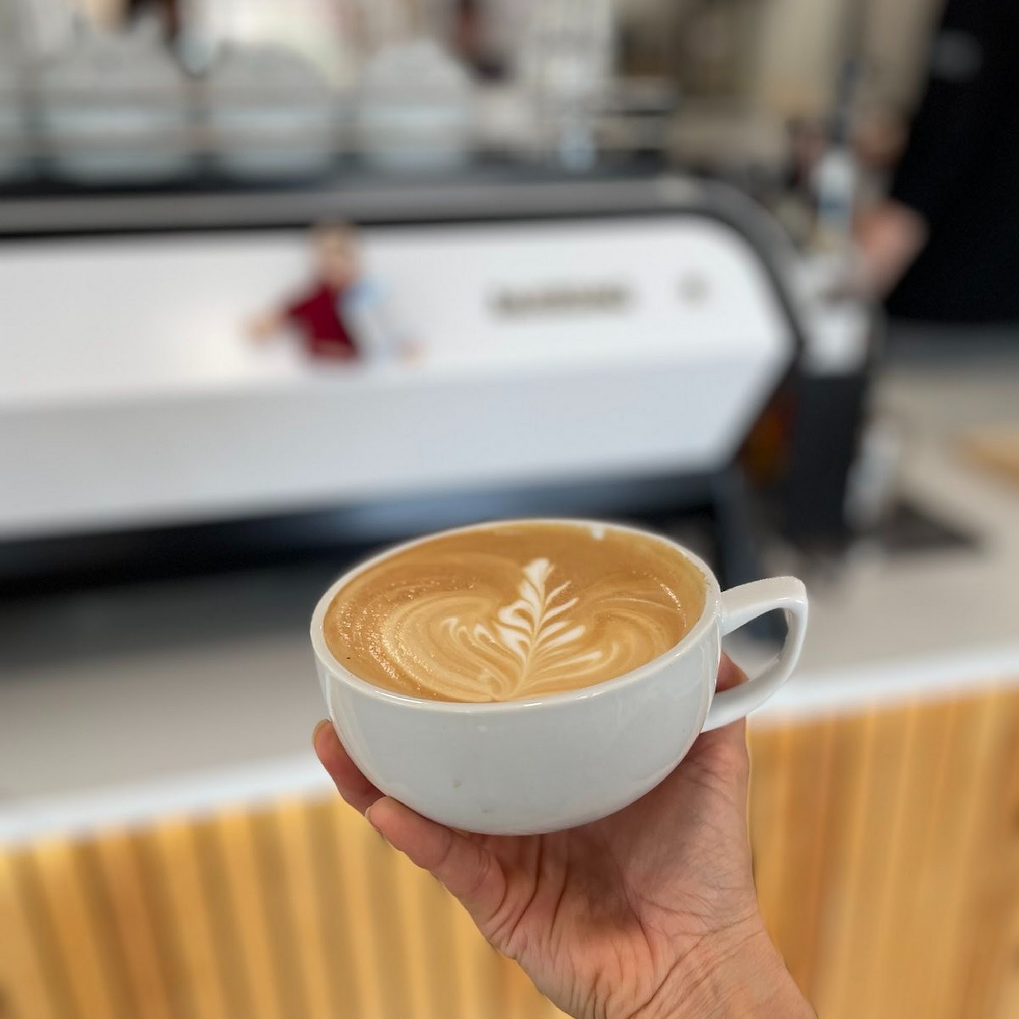 Alice Good Specialty Coffee Verona