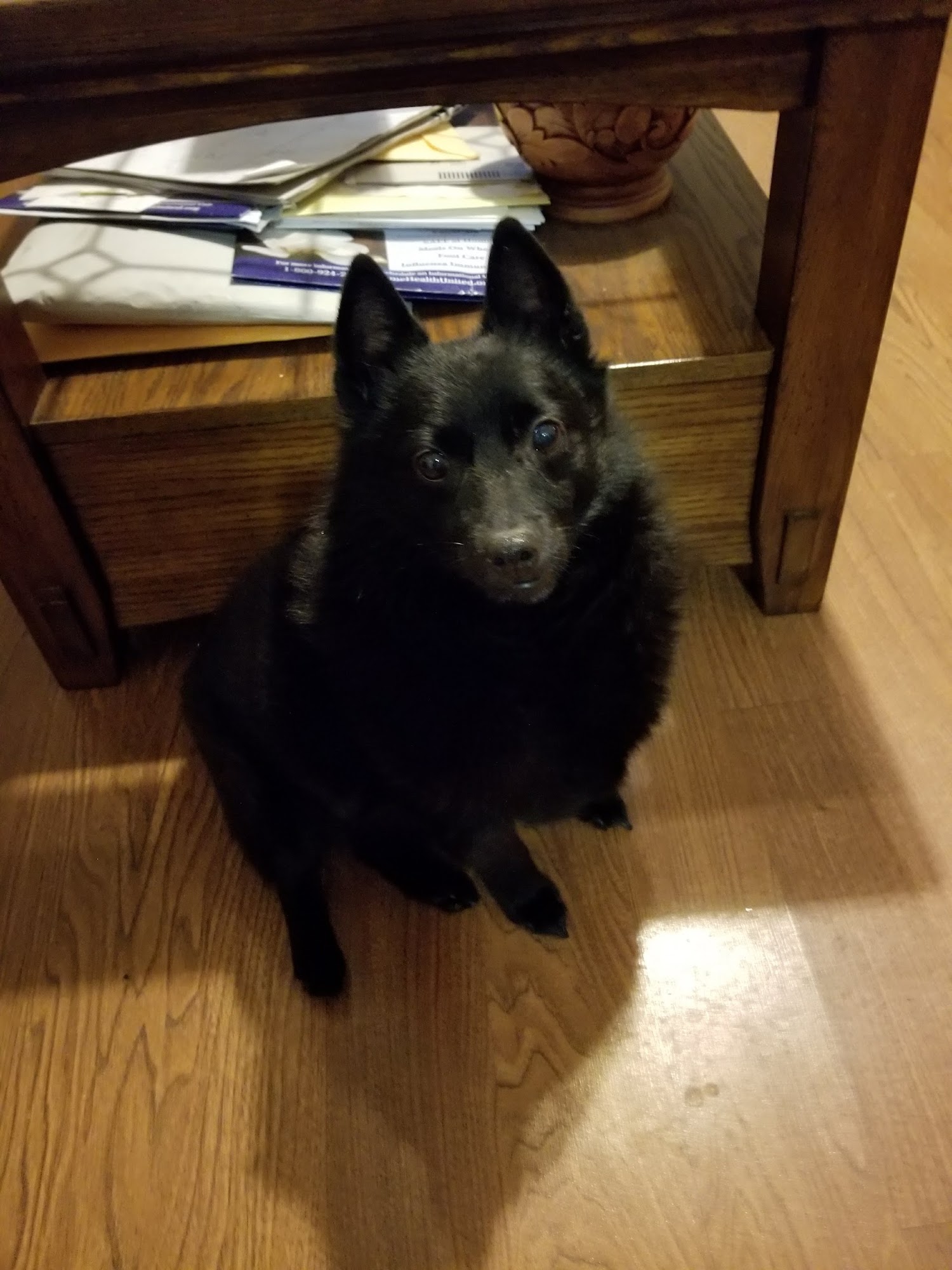 Piper Veterinary Clinic Viroqua