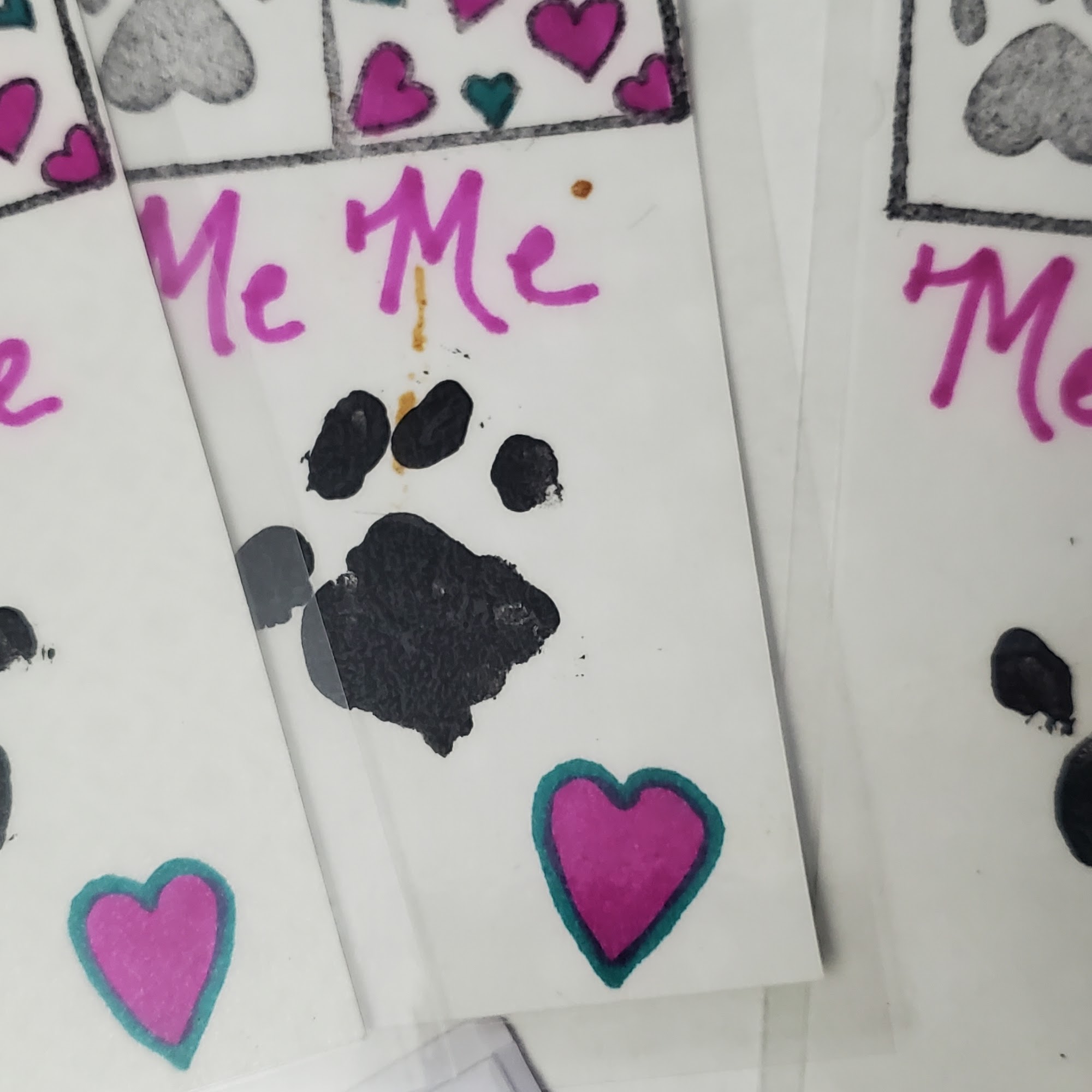 Ridge to Rivers Animal Clinic: Kottke Janna DVM Viroqua