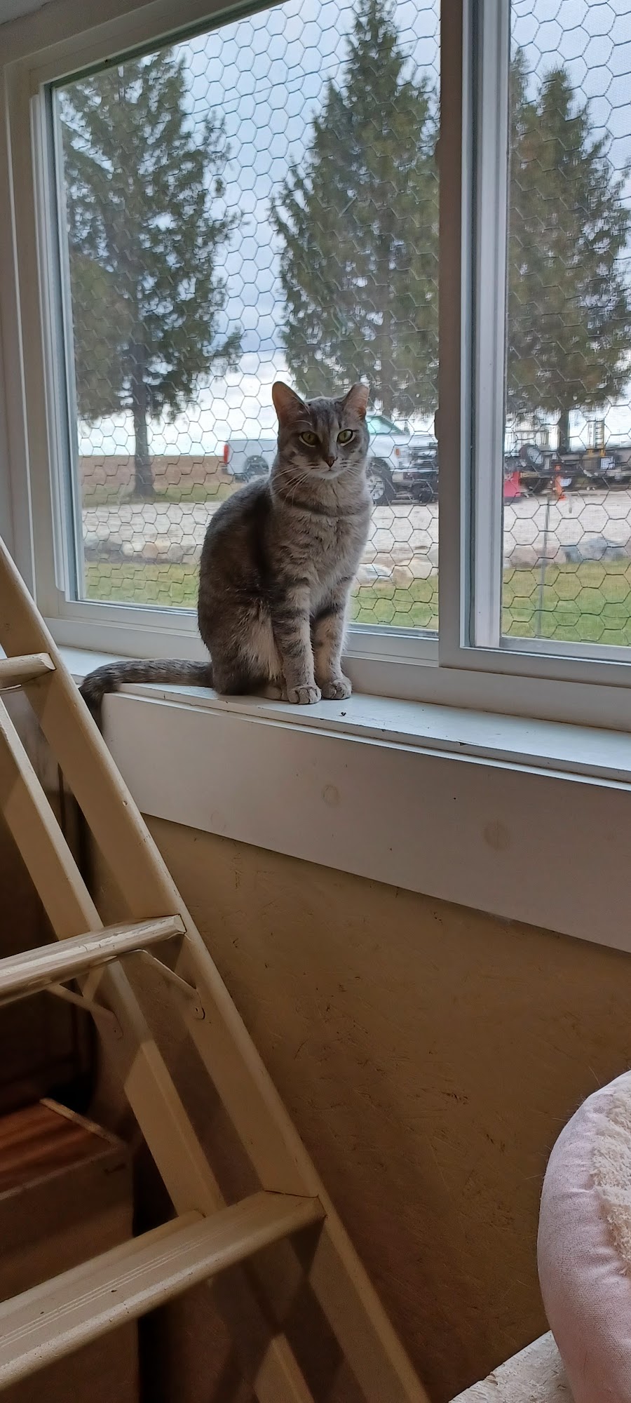 Toledo Keeping the Faith Charity Foundation Walworth