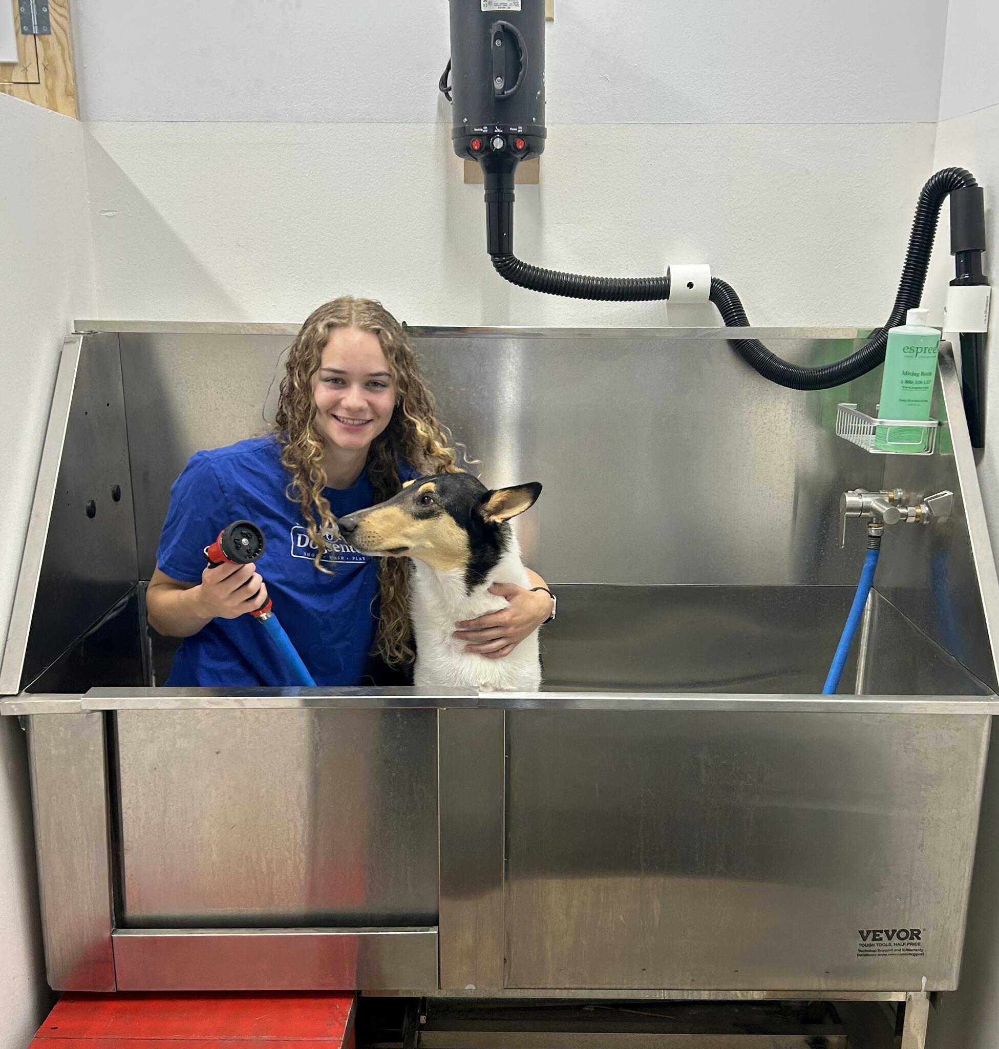 Washburn Dogsenter Washburn