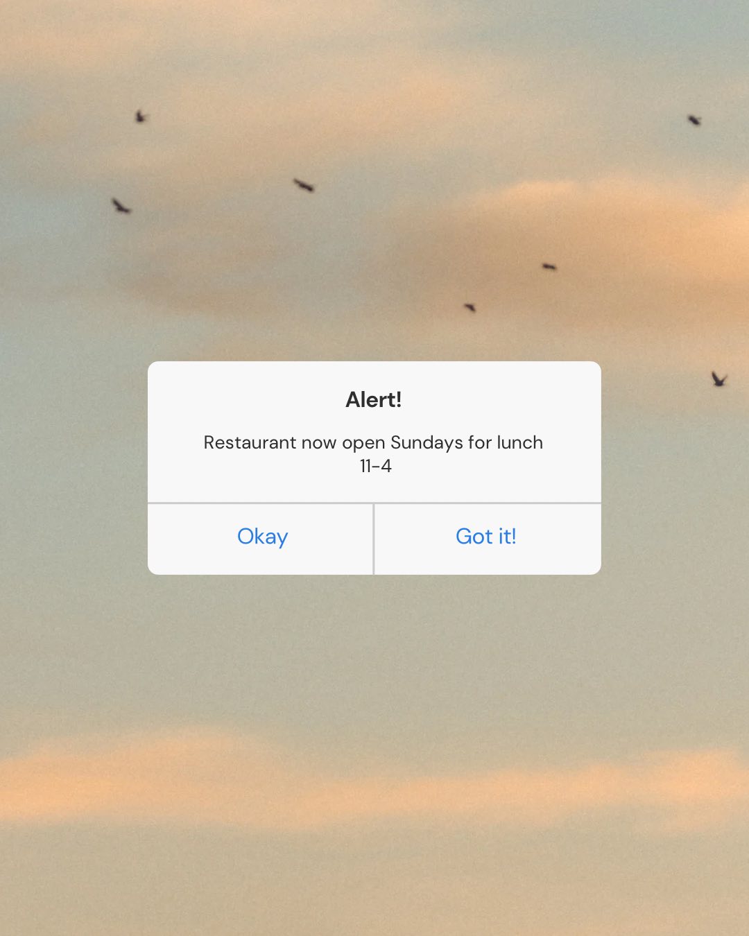 The Point Grille Washington