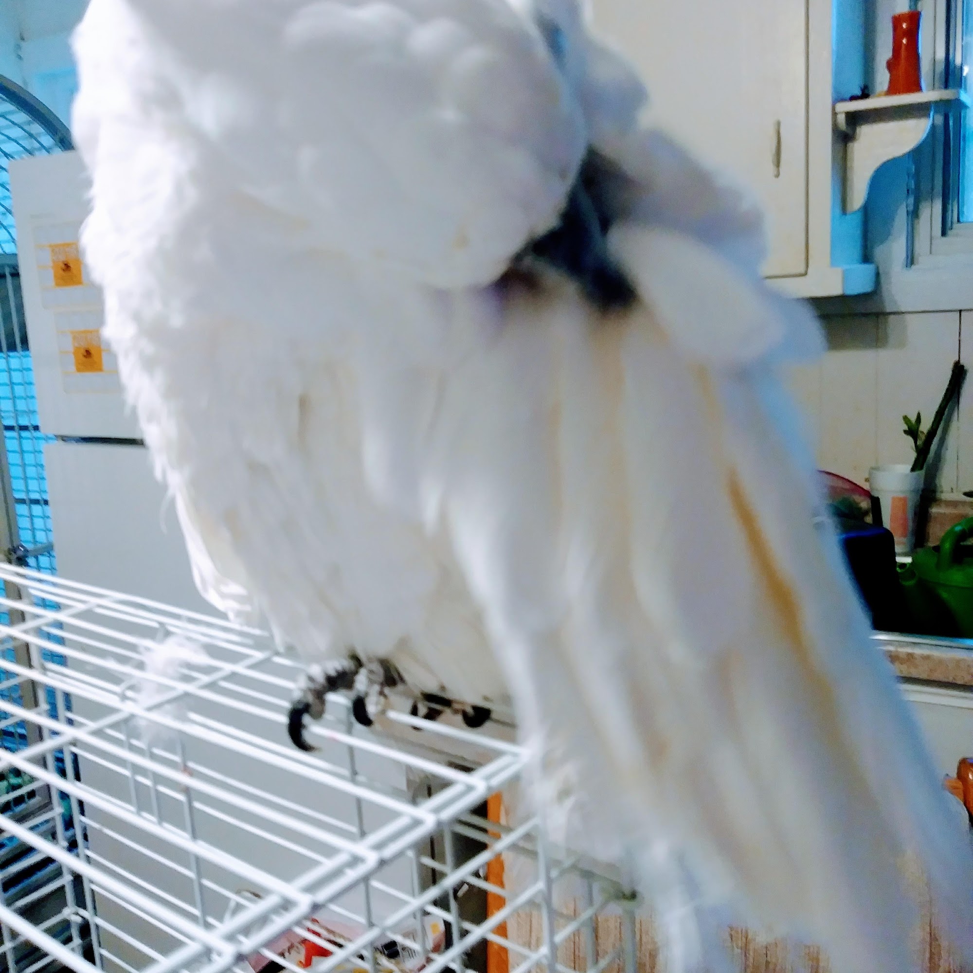 Waterford Veterinary Clinic Waterford