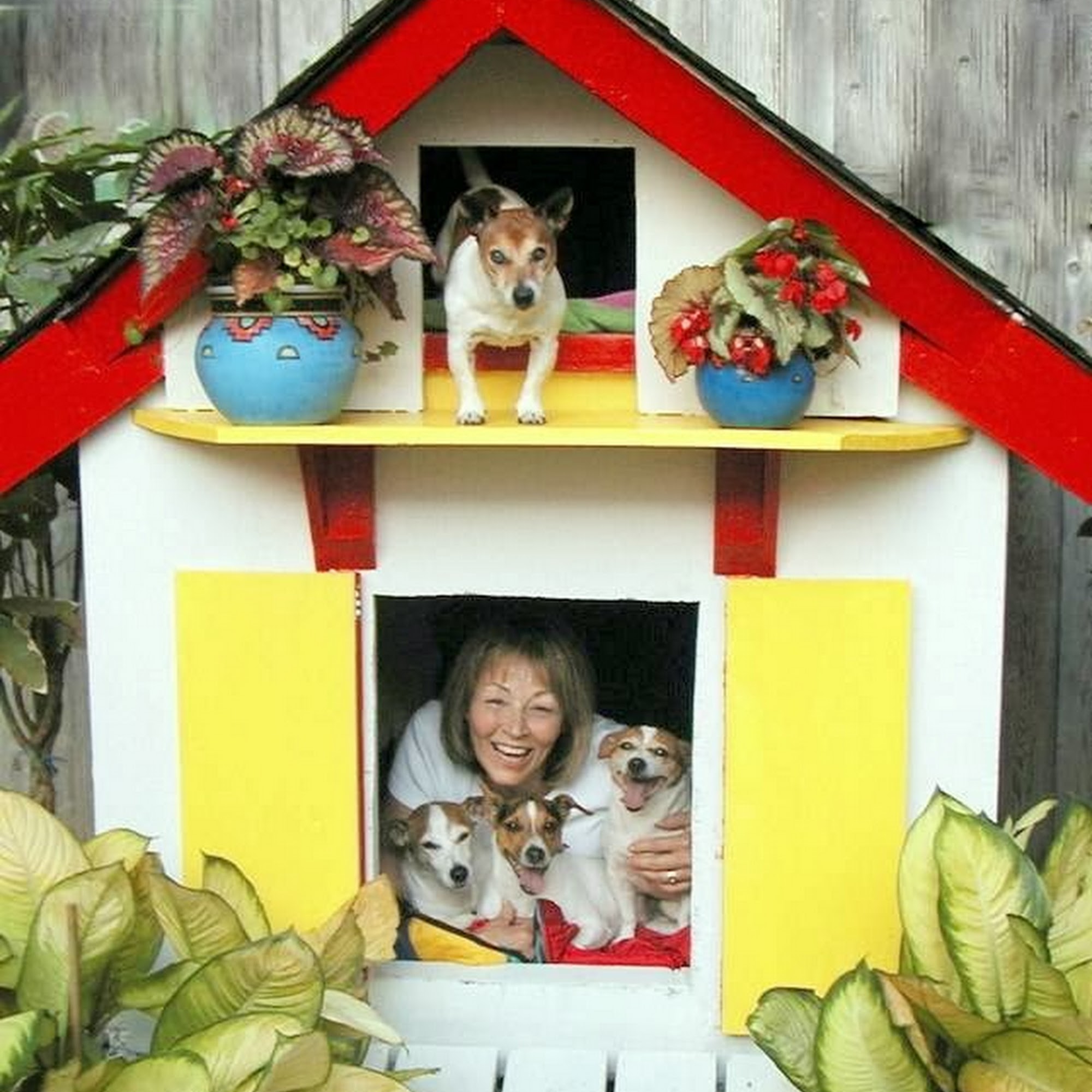 For Love of Dogs Canine/Human Relations LLC Waterford