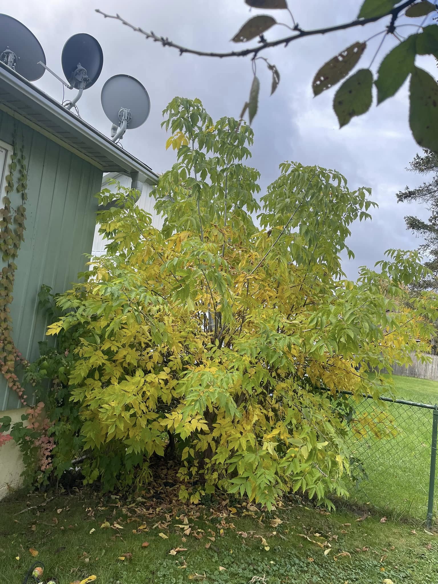 John's Lawn Care And Maintenance LLC. 138 S Oborn St, Waupaca Wisconsin 54981