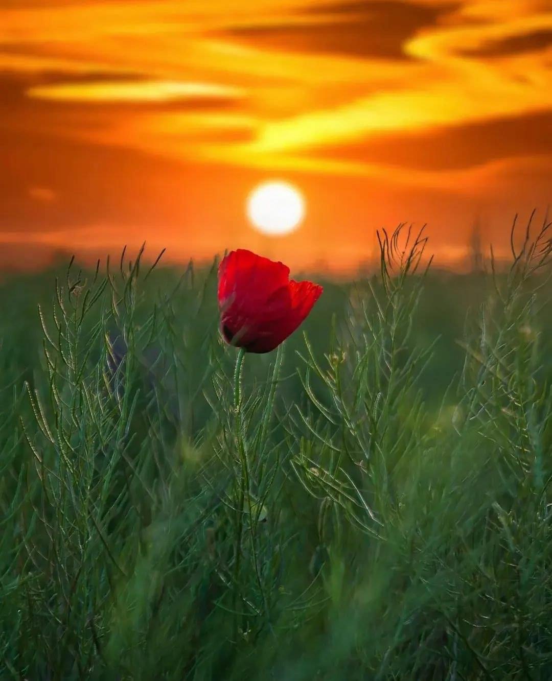 Chain One Stop Waupaca