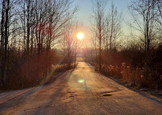 First Class Pet Lodge & Doggie Day Care Wausau