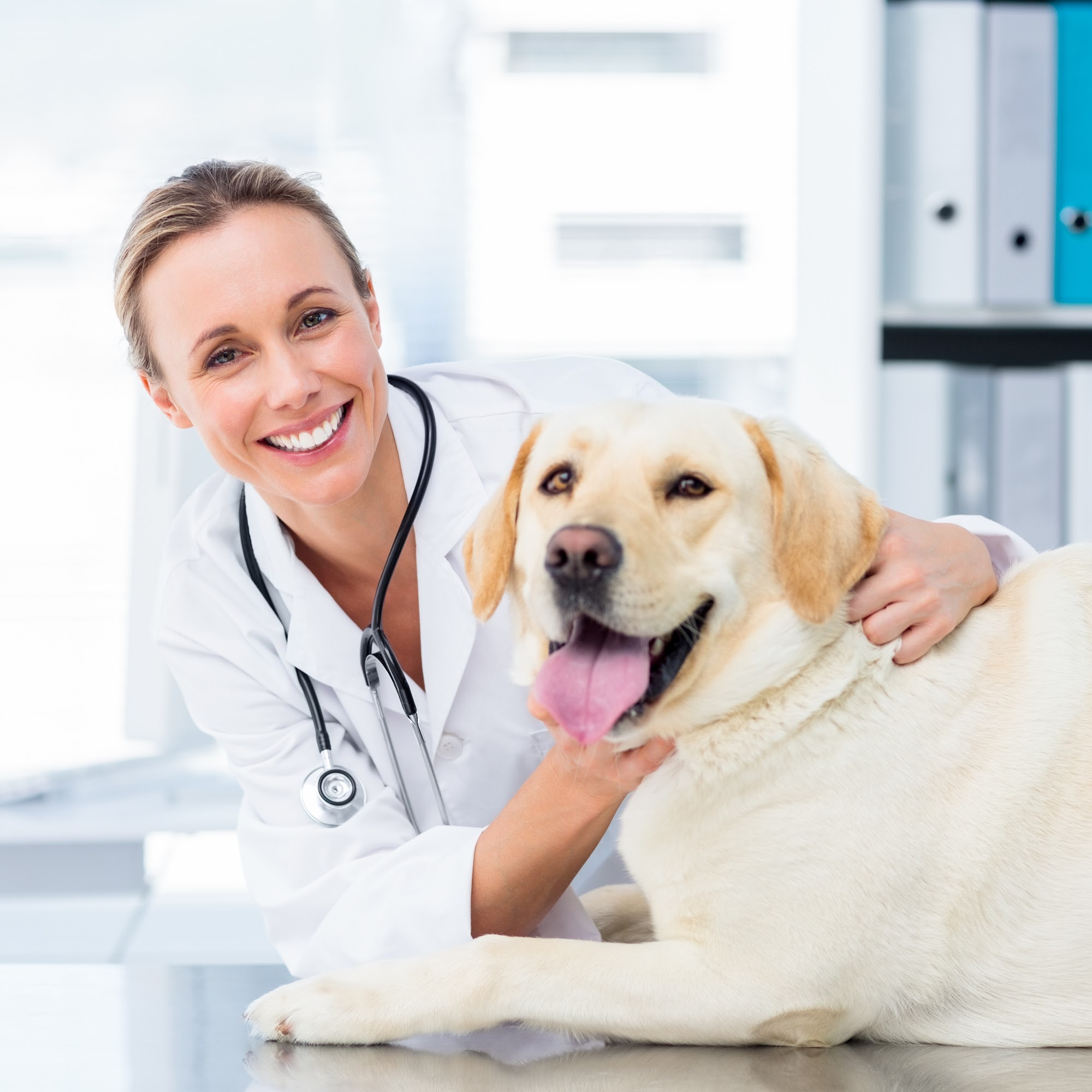 PetSmart Veterinary Services - Wausau Wausau