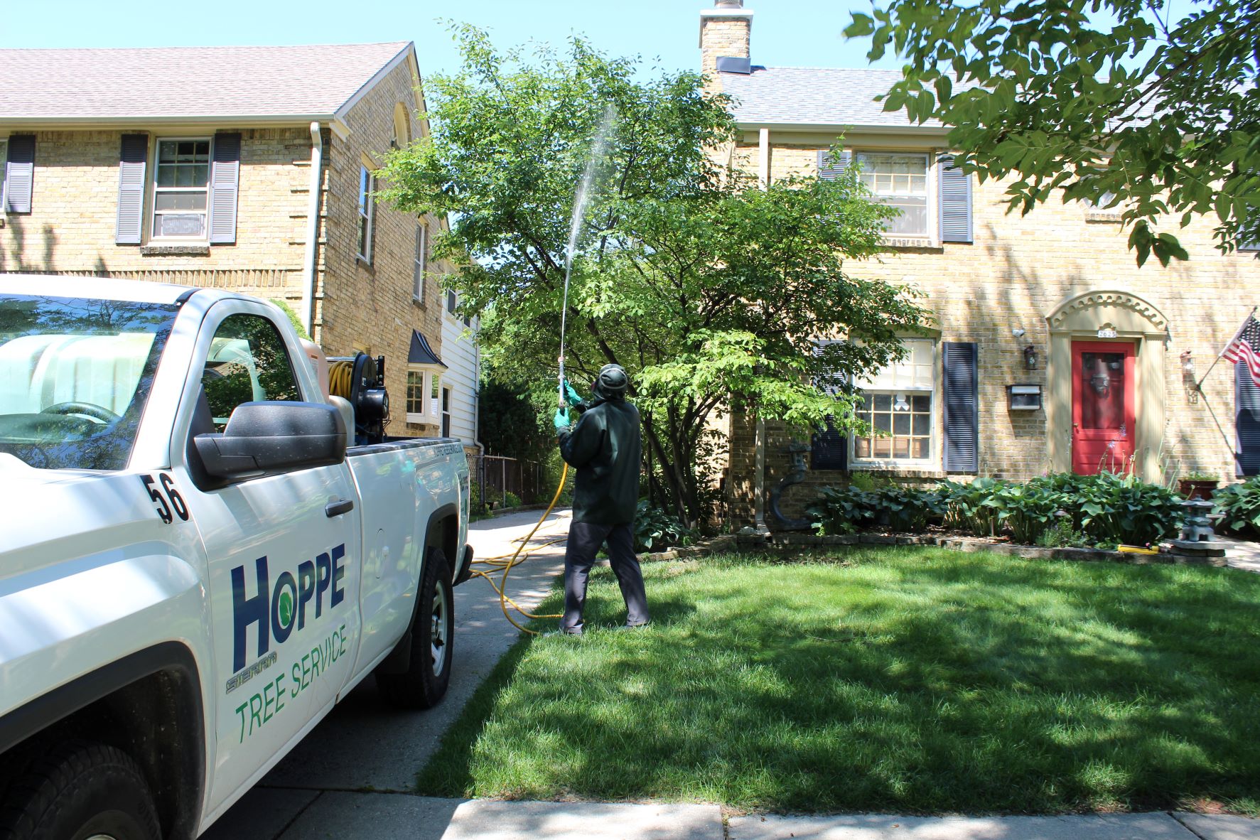 Michael Hoppe Arborist