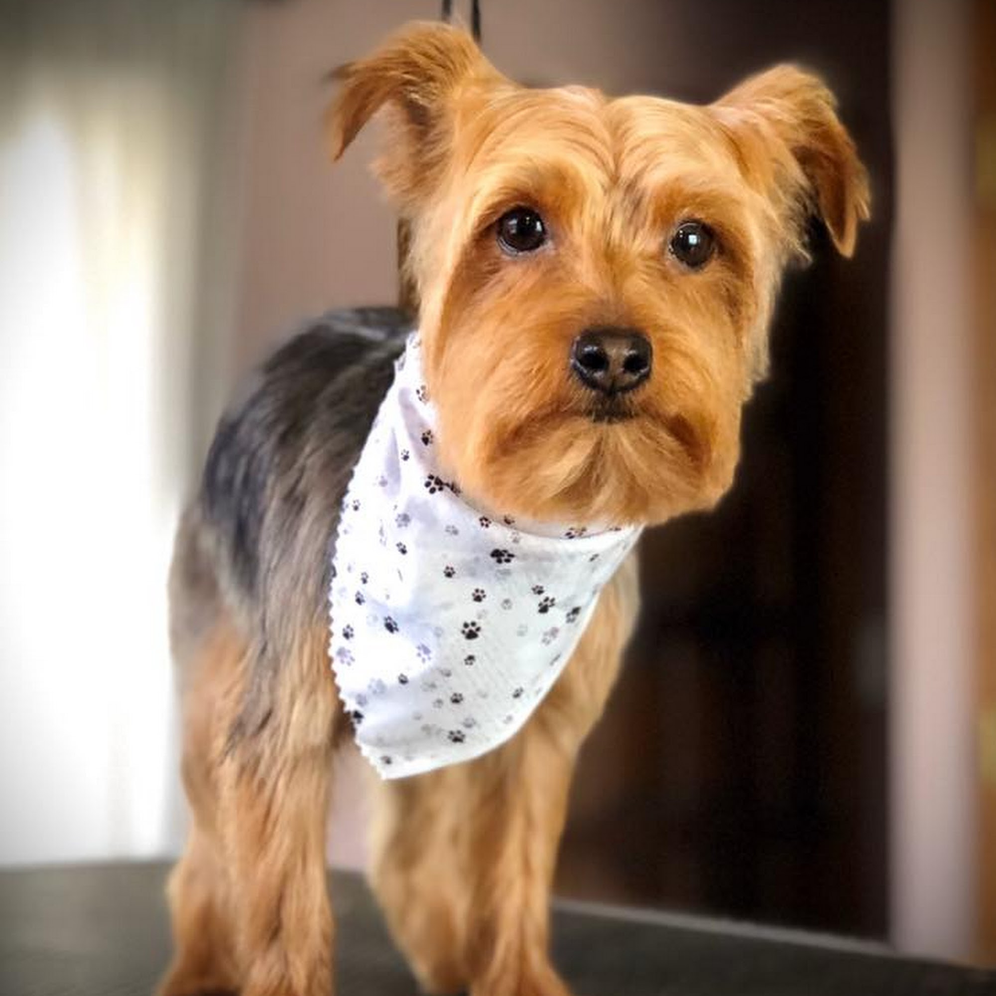 Heart & Soul Pet Clinic/West Bend Animal Hospital West Bend