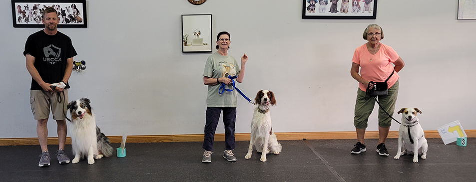 Go Over Rover Dog Training LLC West Bend