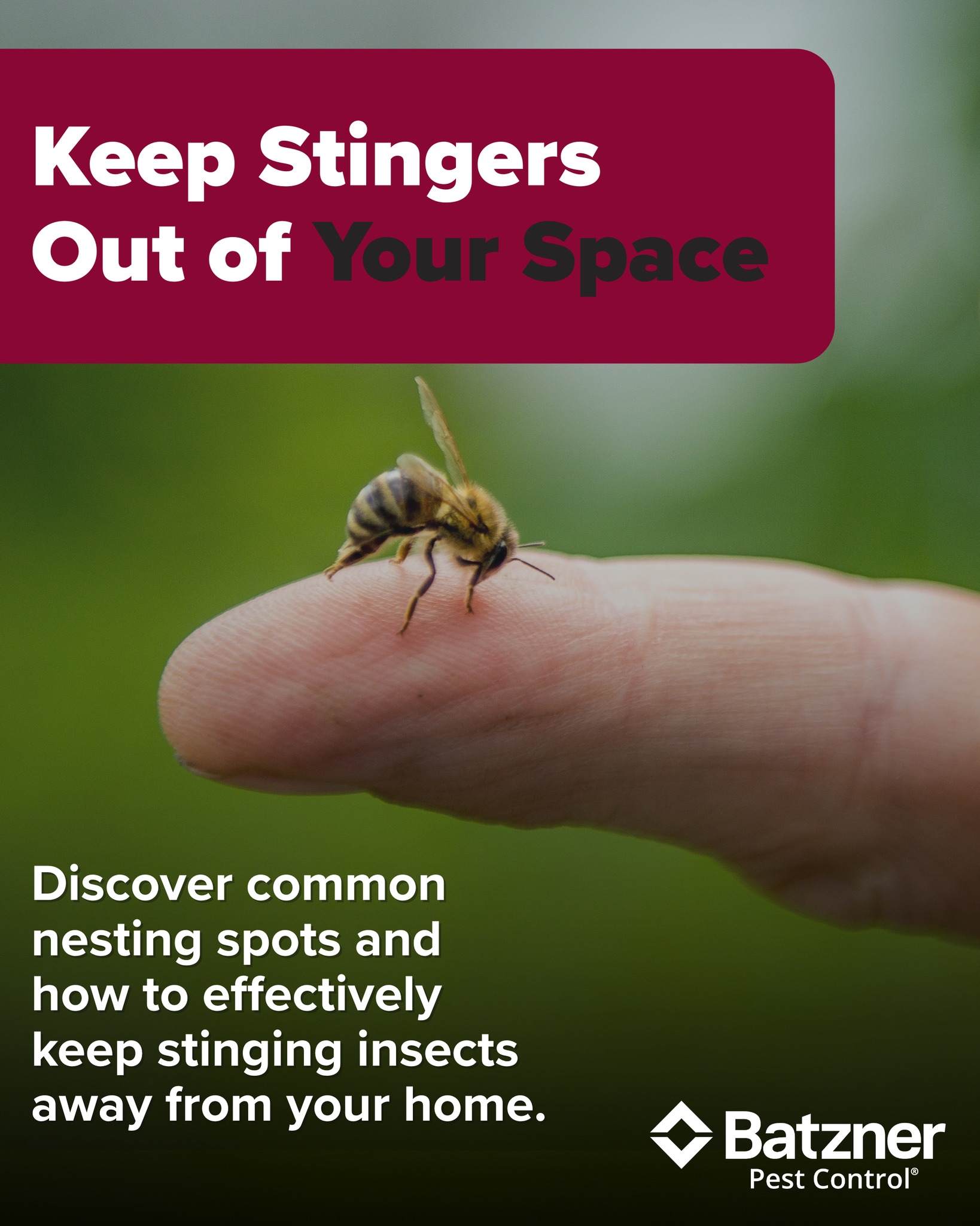 Batzner Pest Control