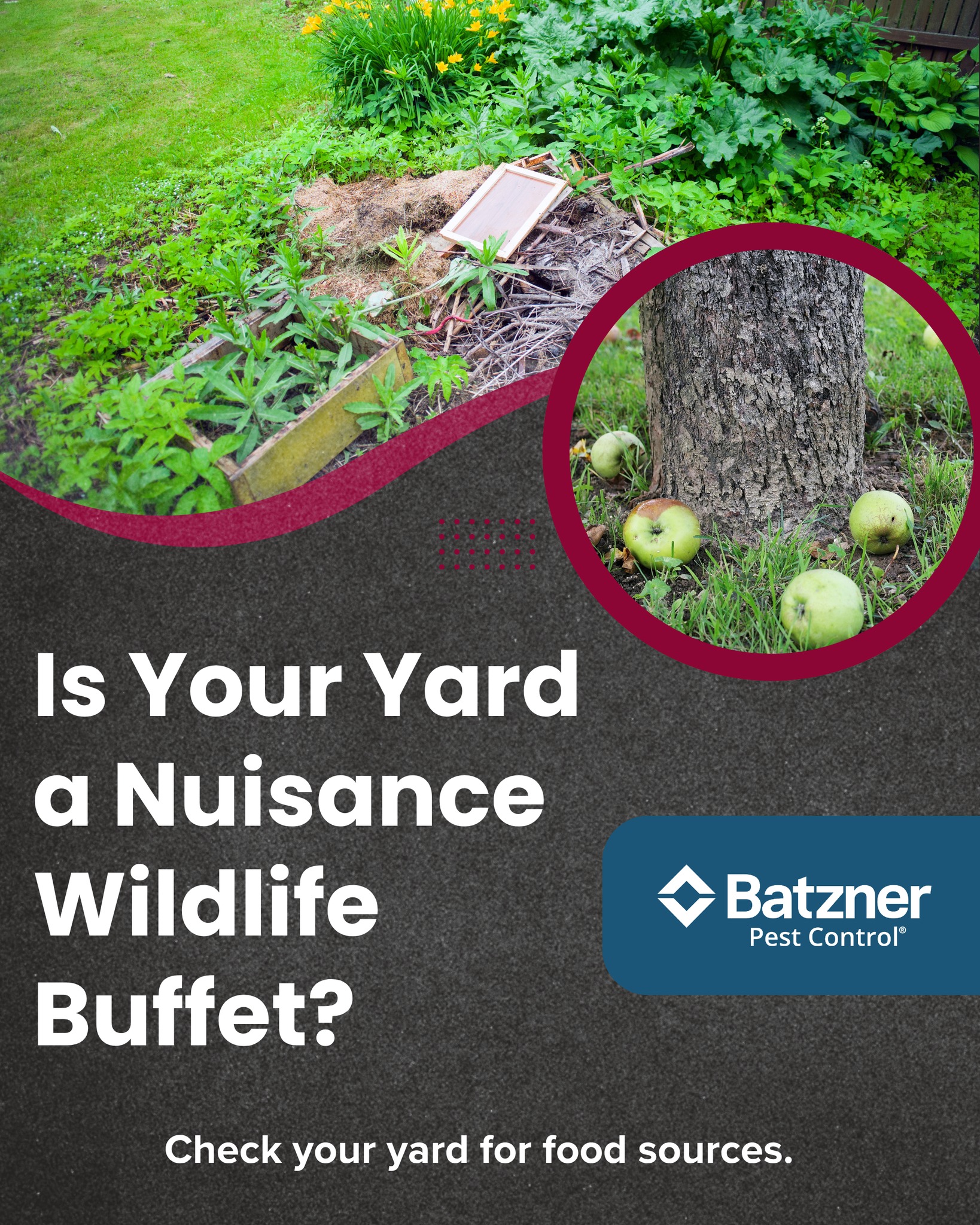 Batzner Pest Control