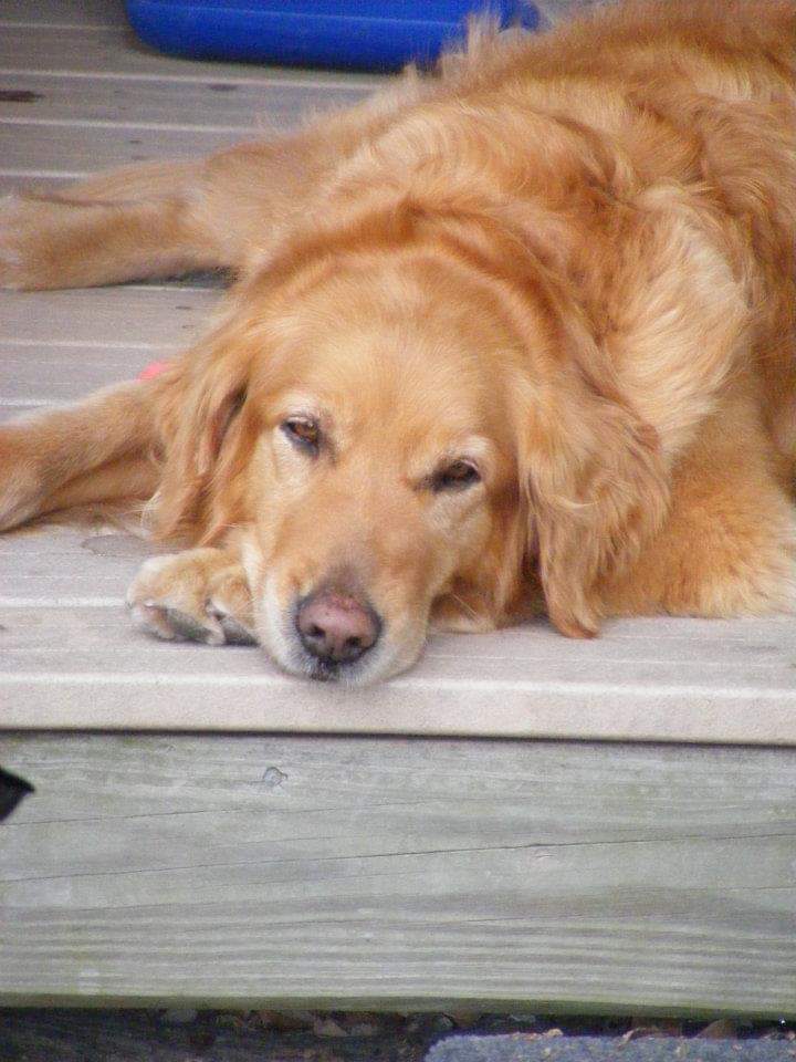 Whitewater Veterinary Hospital Whitewater