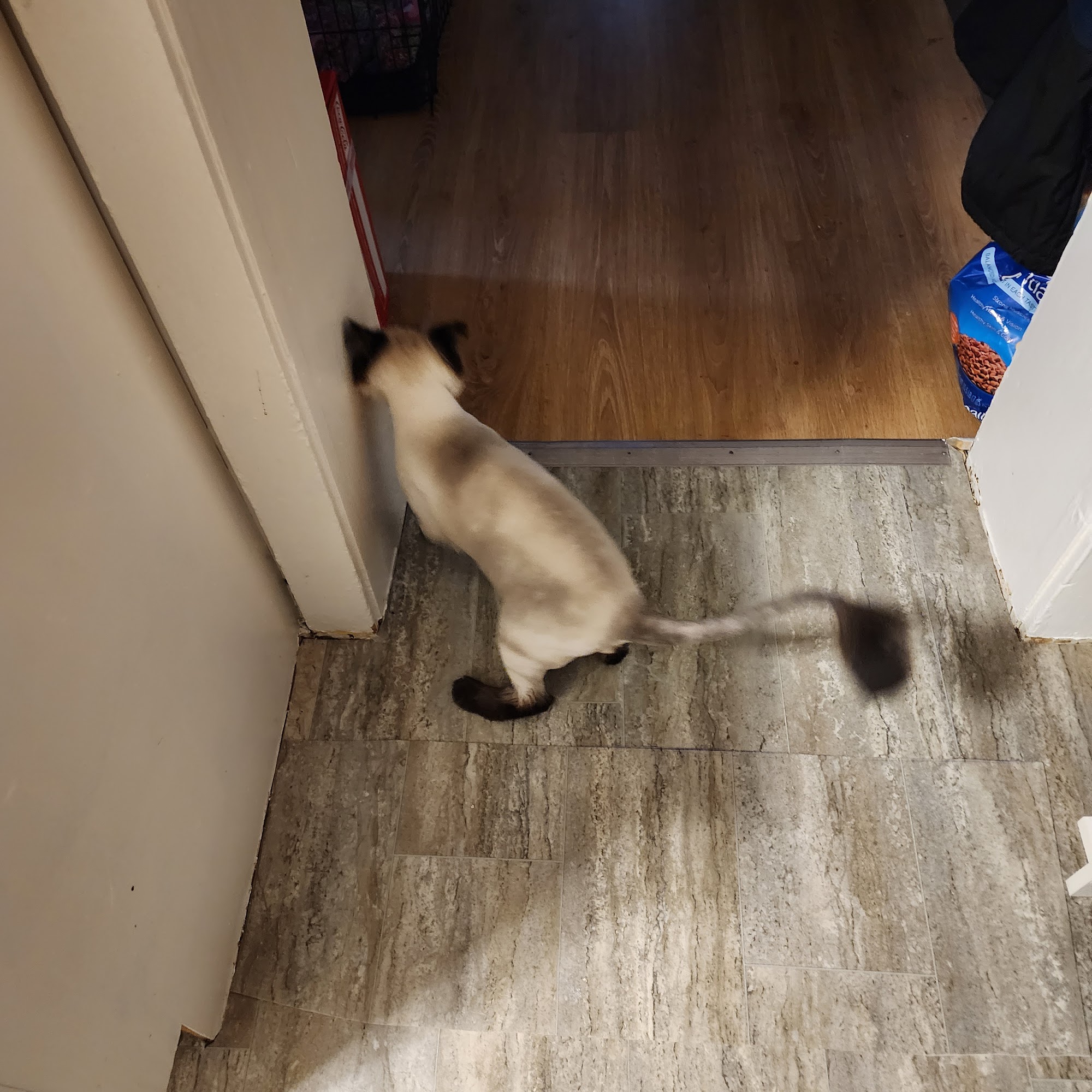 Pine Knoll Veterinary Clinic Wisconsin Dells