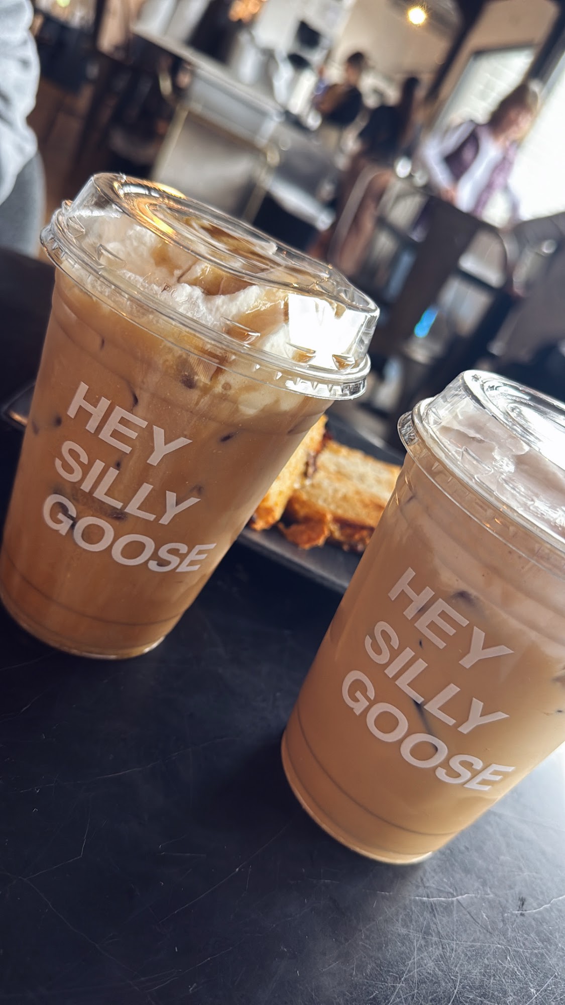 Bella Goose Coffee - Cafe on the River Wisconsin Dells