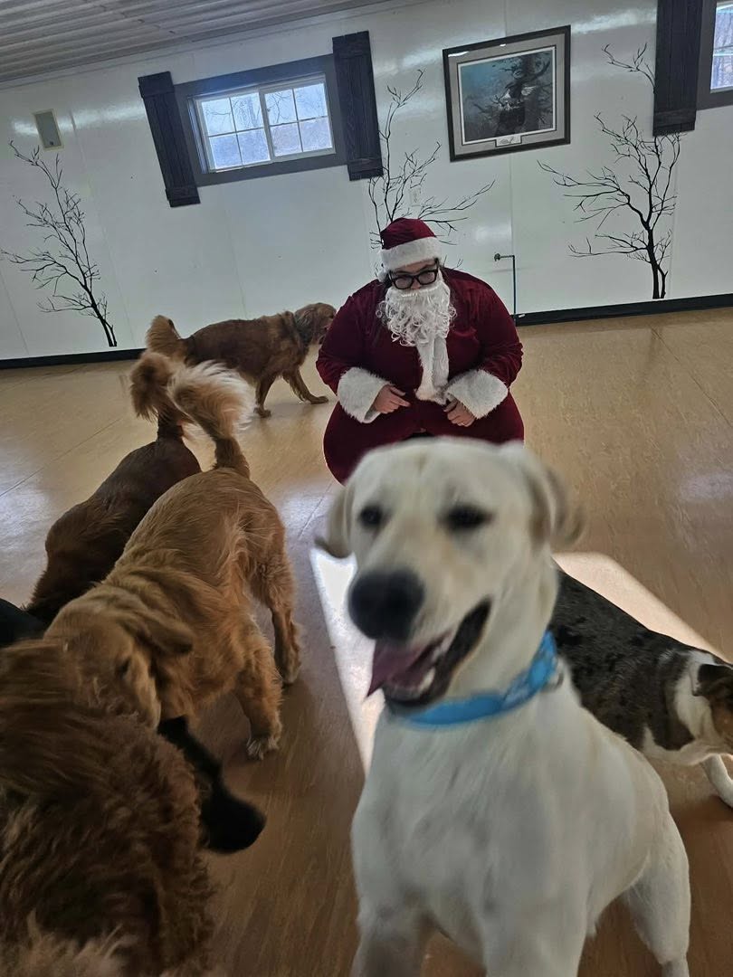 Pet Retreat Wisconsin Dells