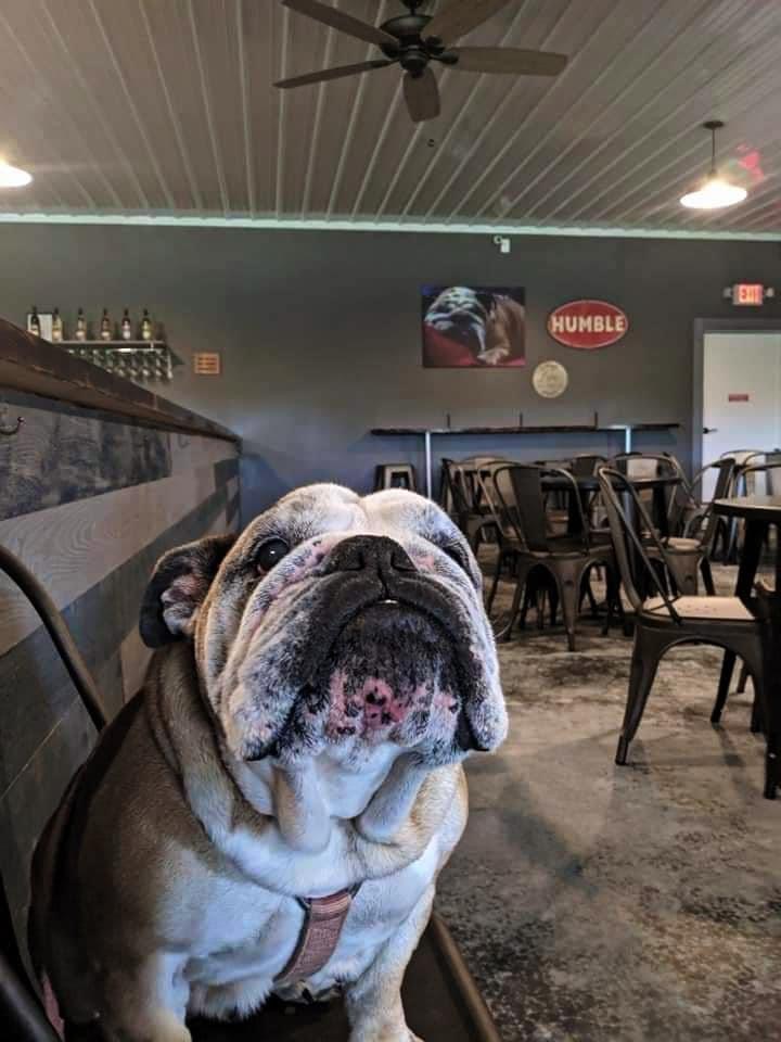 Broken Bottle Winery Wisconsin Dells