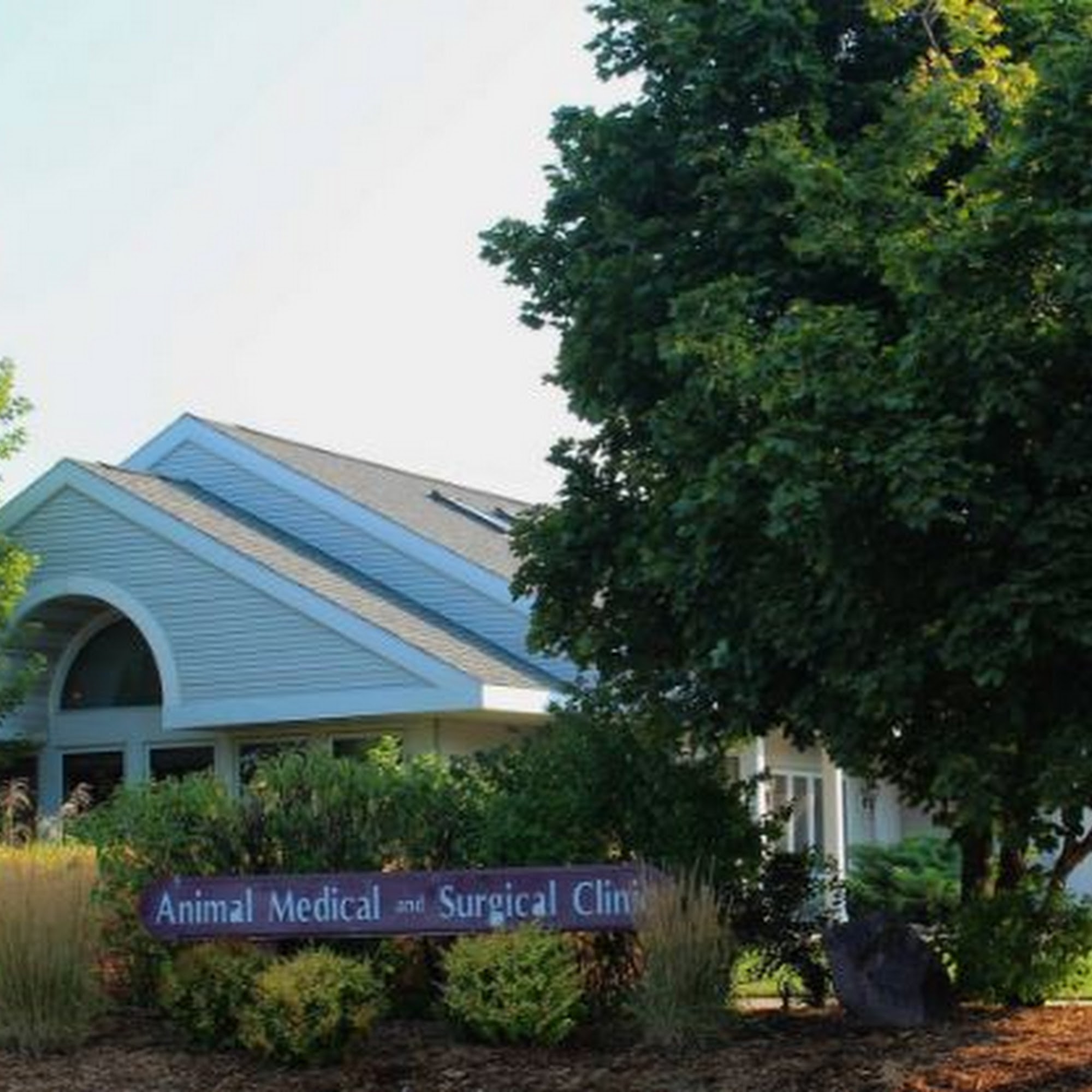 Animal Medical And Surgical Clinic Wisconsin Rapids