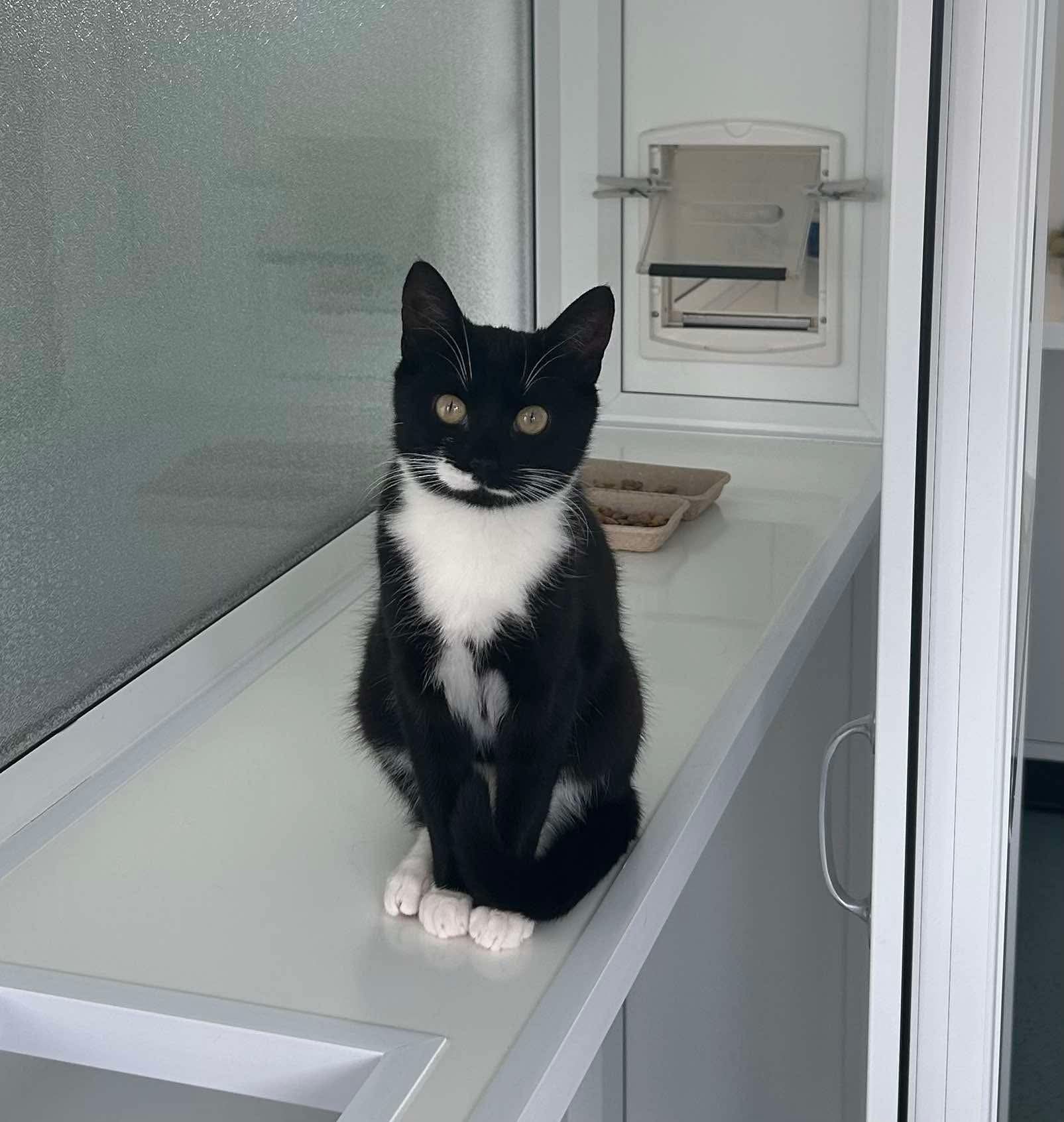 RSPCA Worcester & Mid-Worcestershire