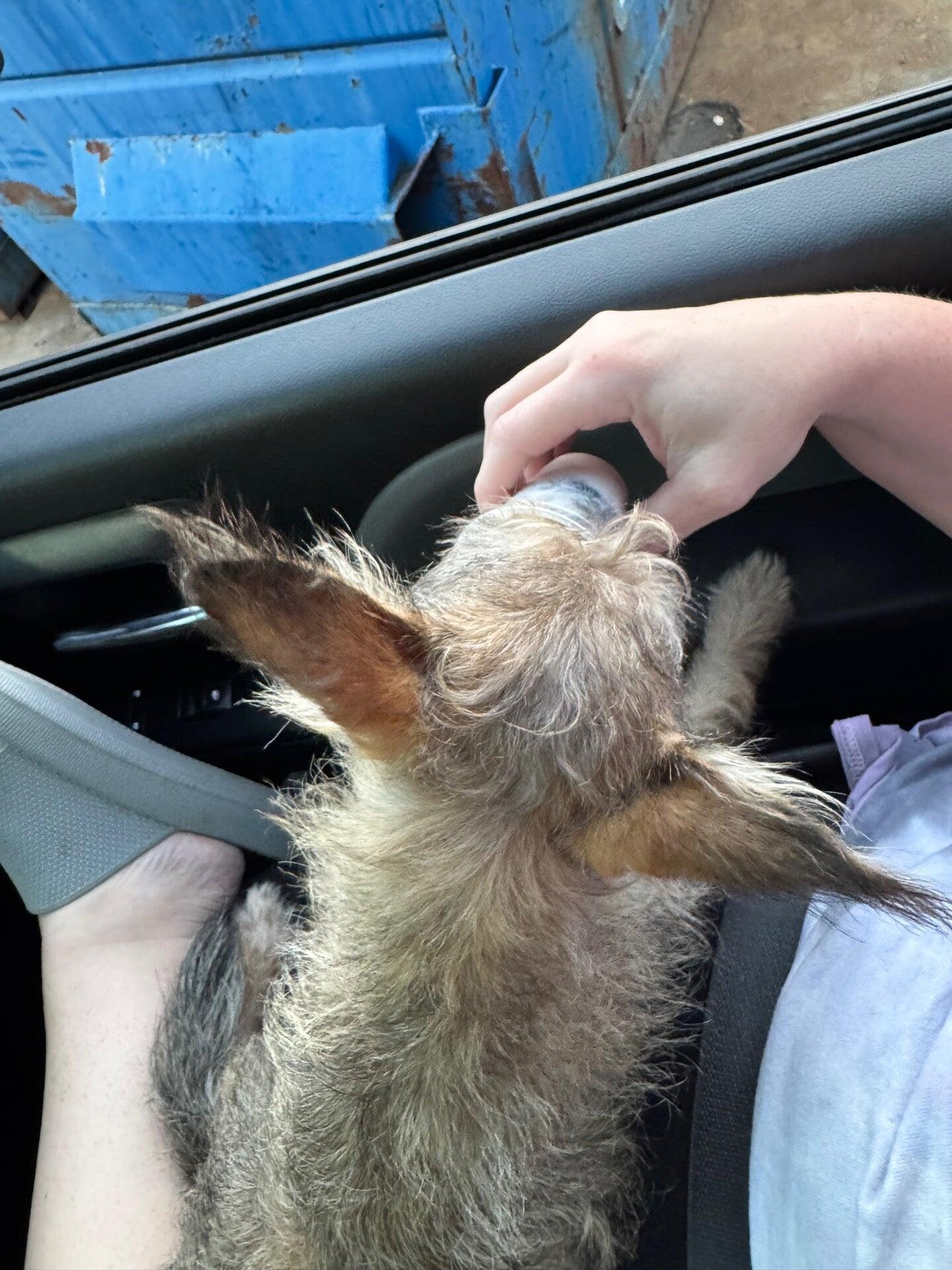 Photo credit: nextdoor
