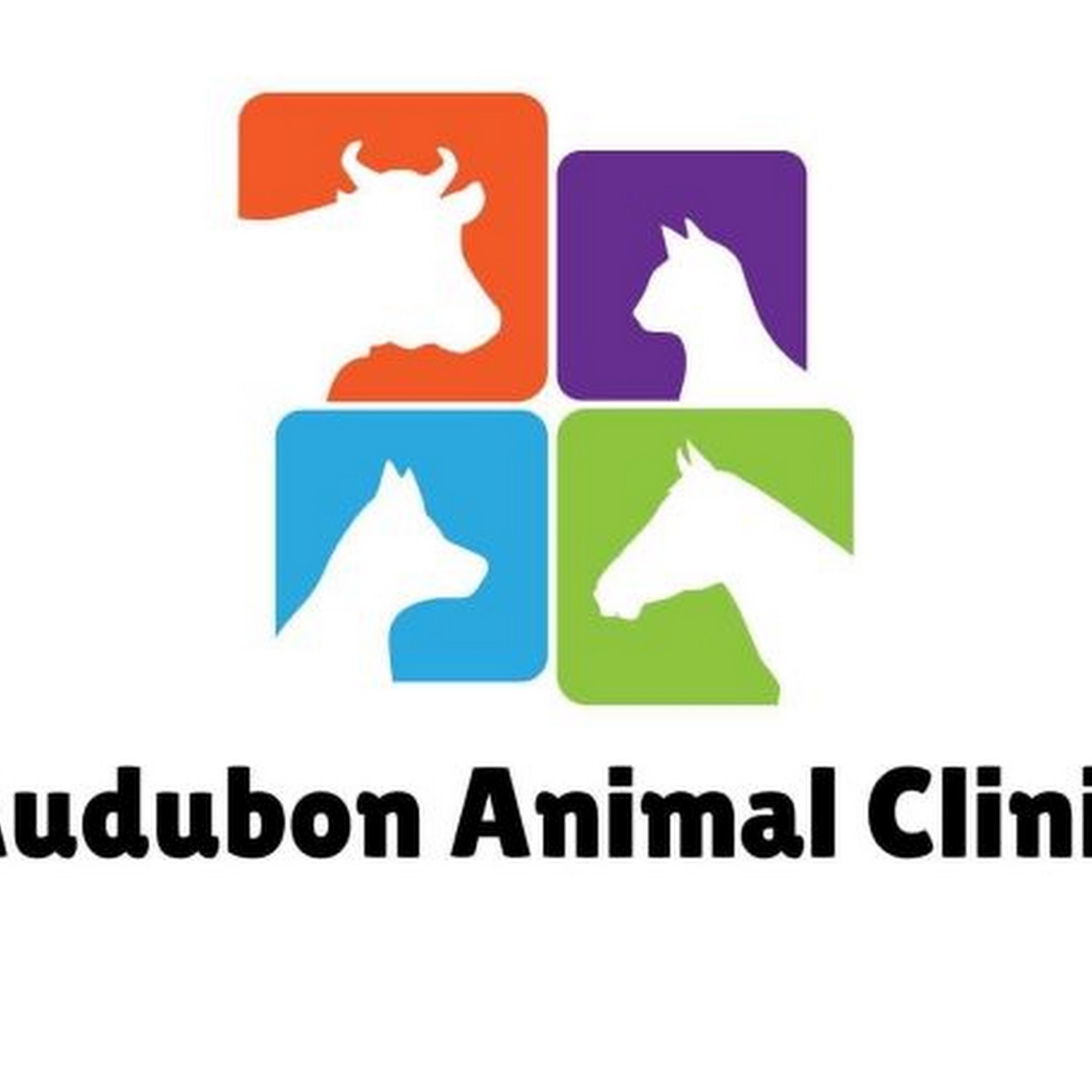 Audubon Animal Clinic Bridgeport