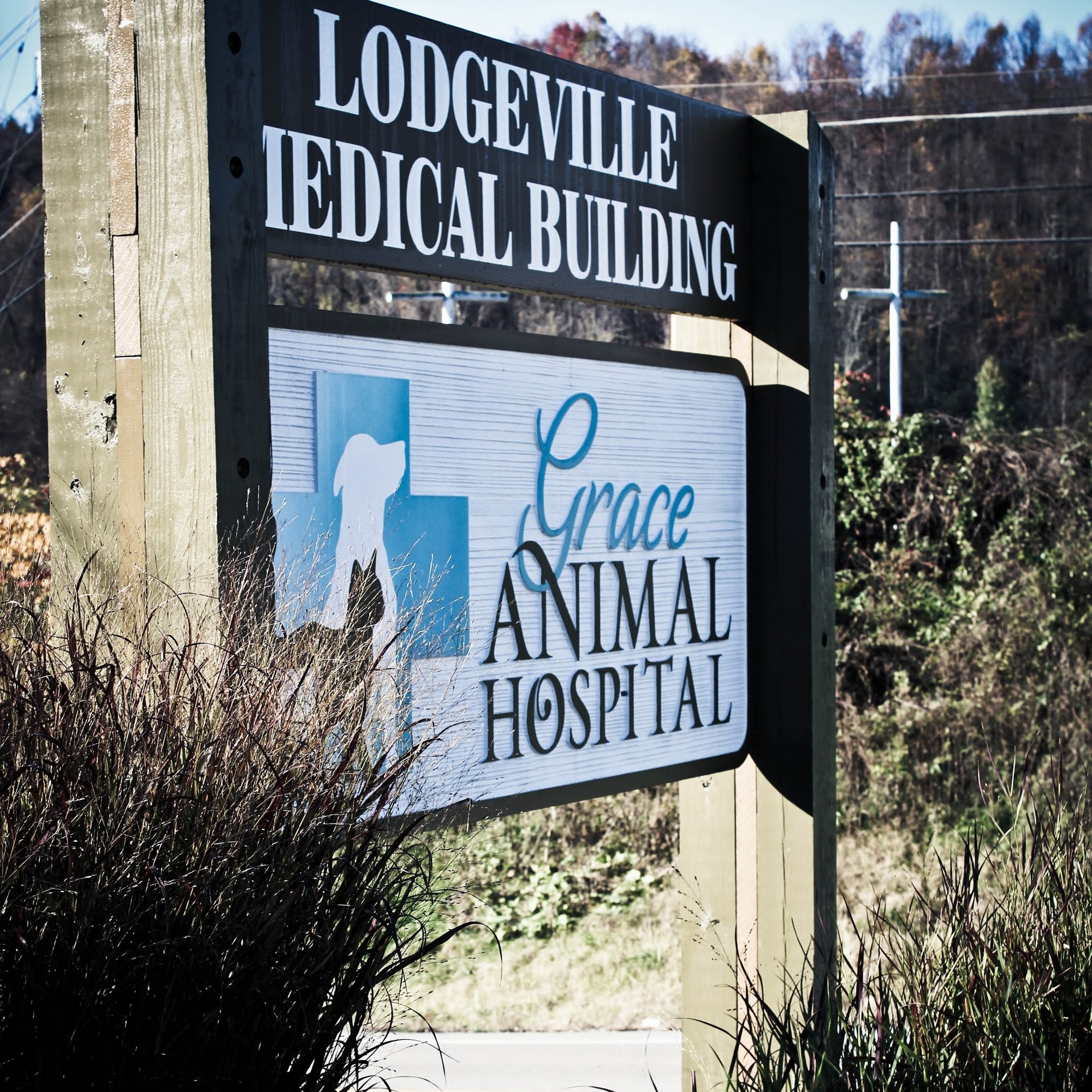 Grace Animal Hospital Bridgeport