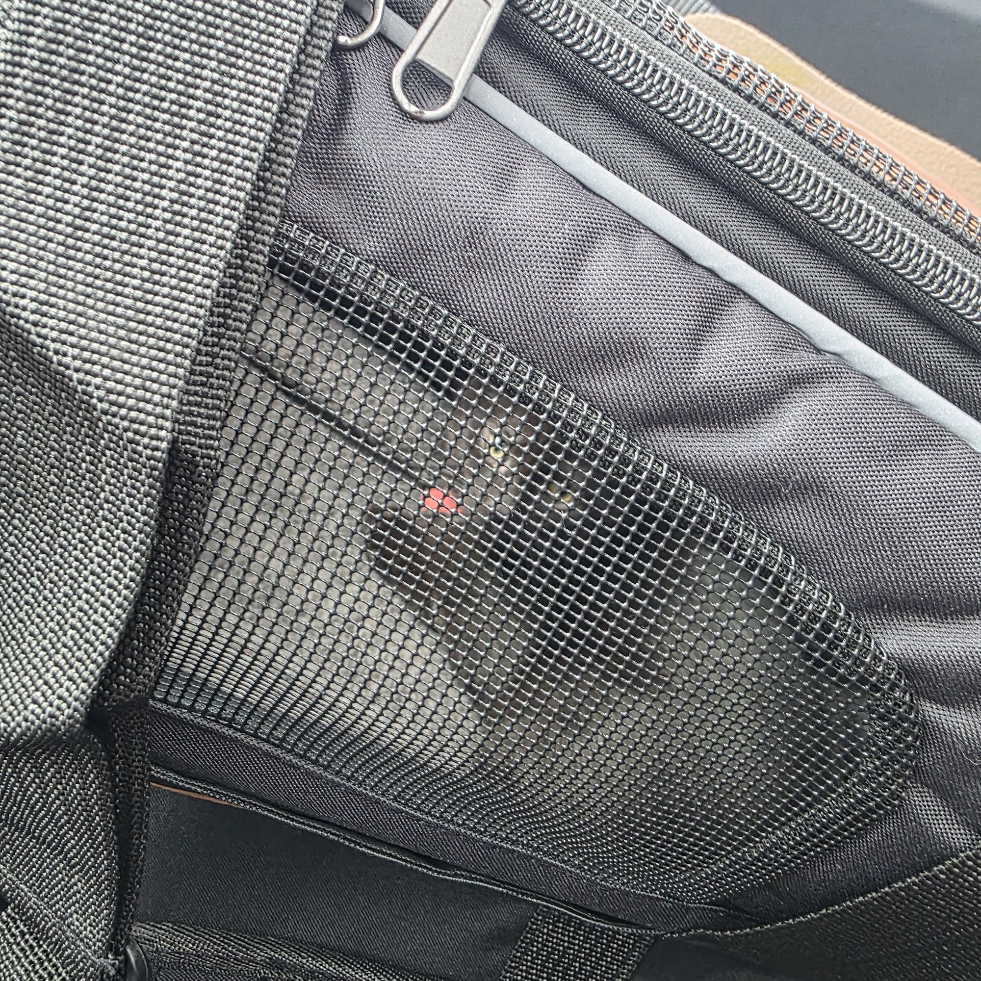 Kanawha-Charleston Humane Association Charleston