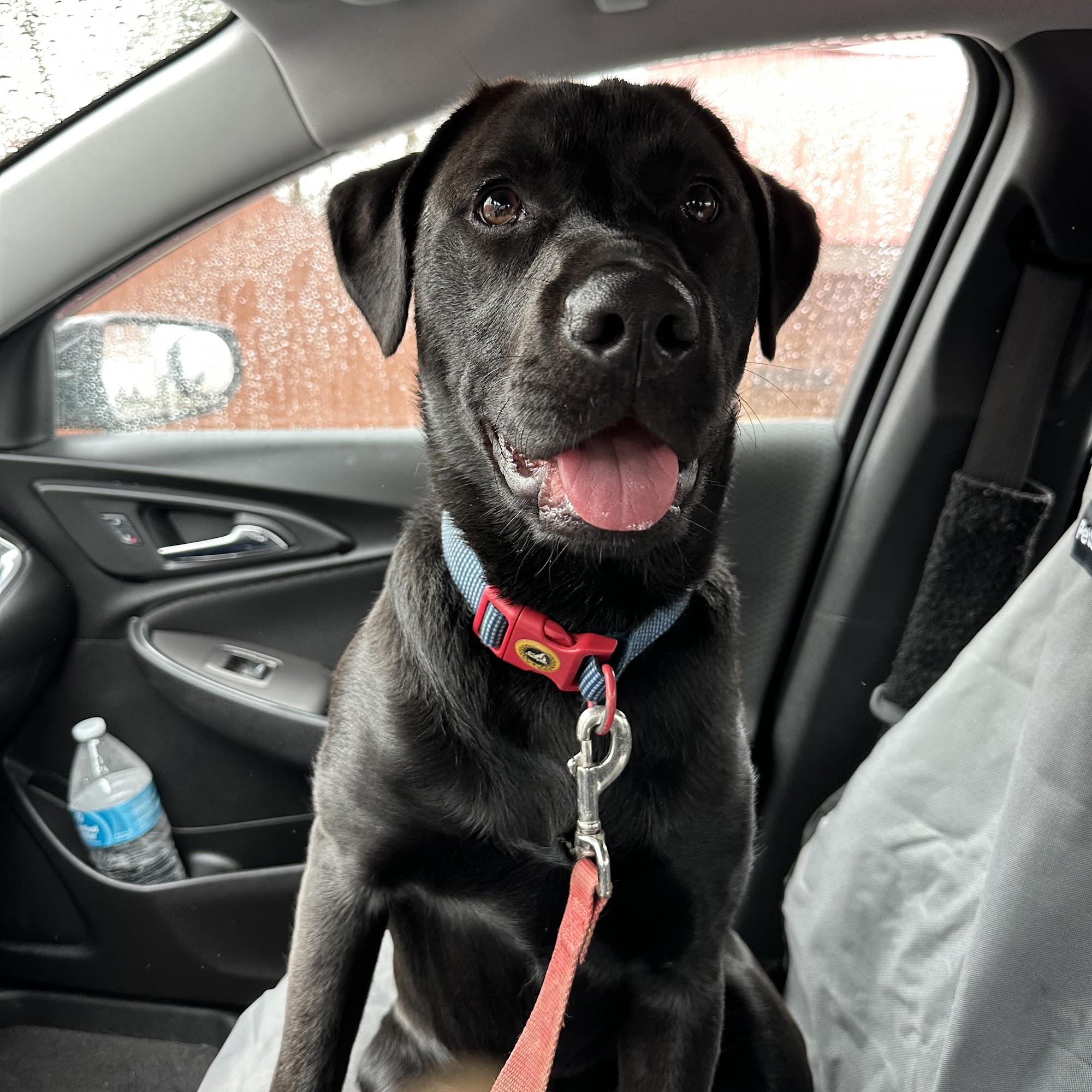 Clarksburg Veterinary Hospital Clarksburg