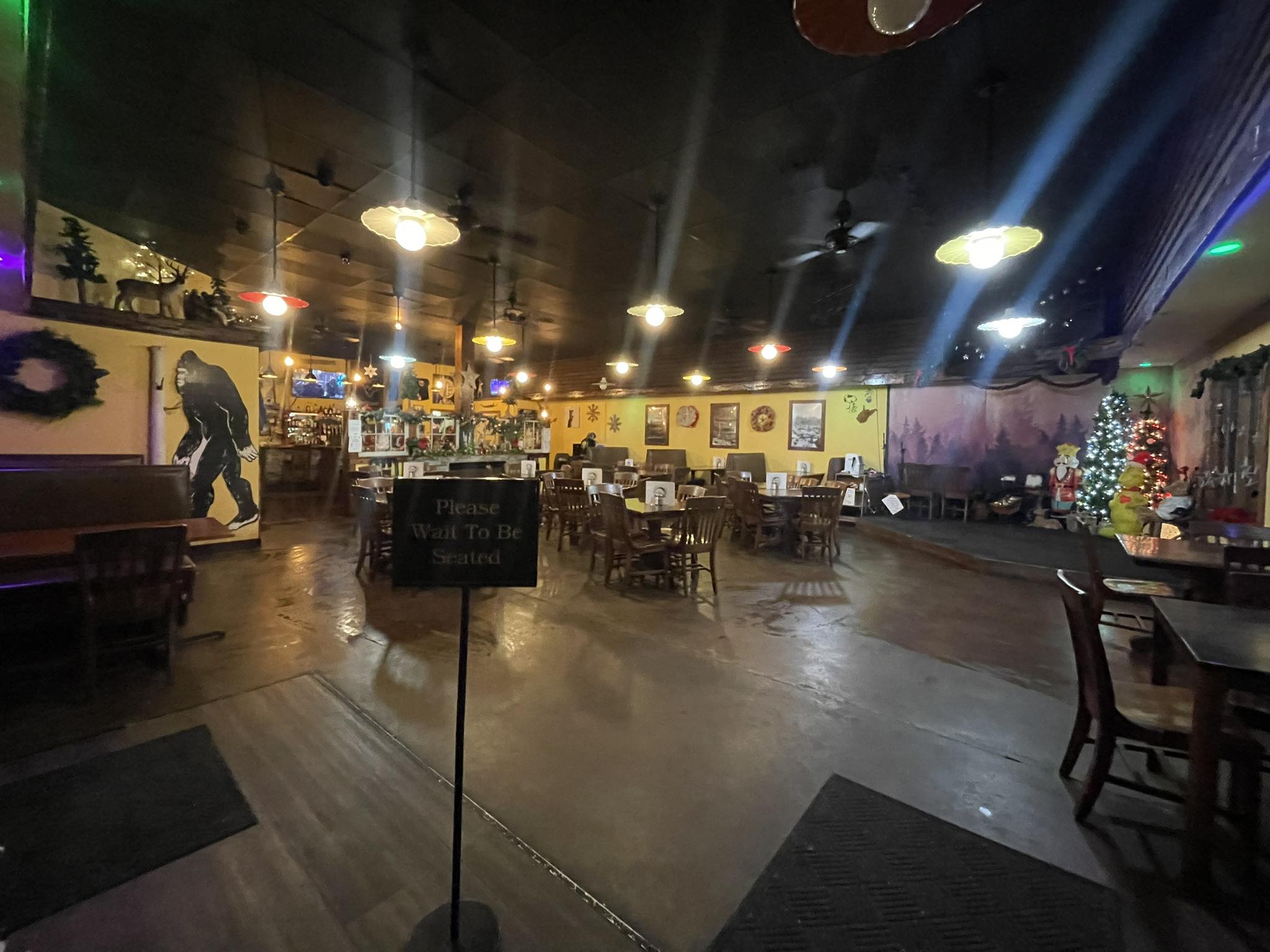 Wicked Wilderness Pub Davis