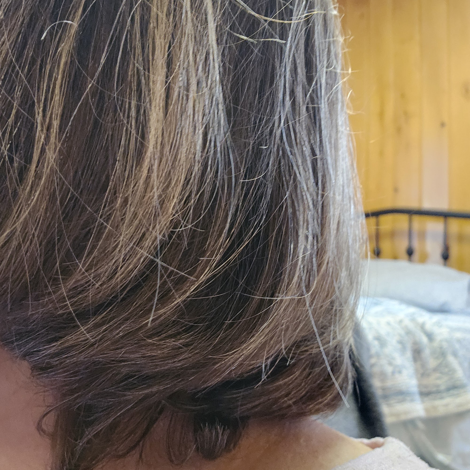 Hard Rock Hair 80 Plantation Dr, Elkins West Virginia 26241