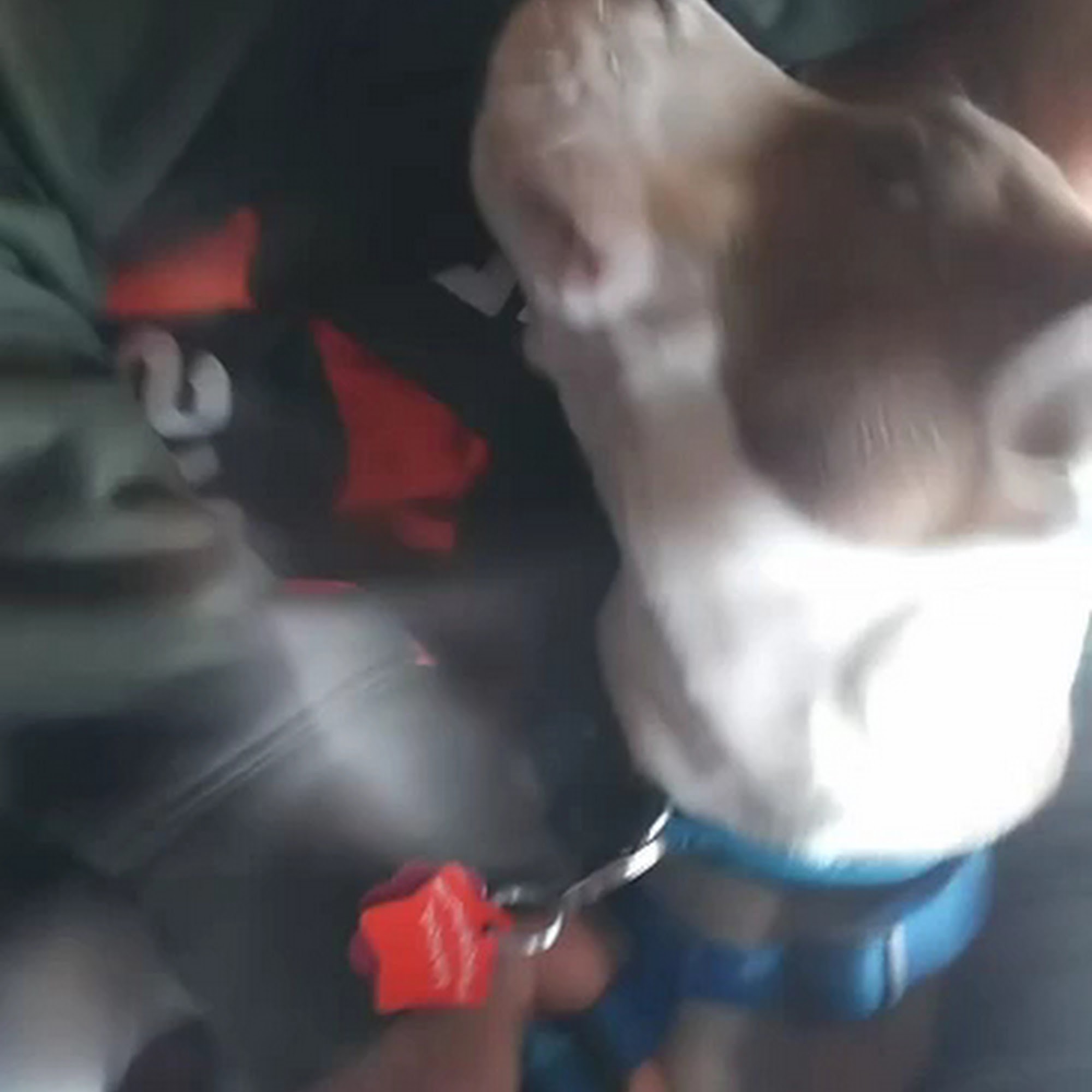 Fayette Veterinary Hospital Fayetteville