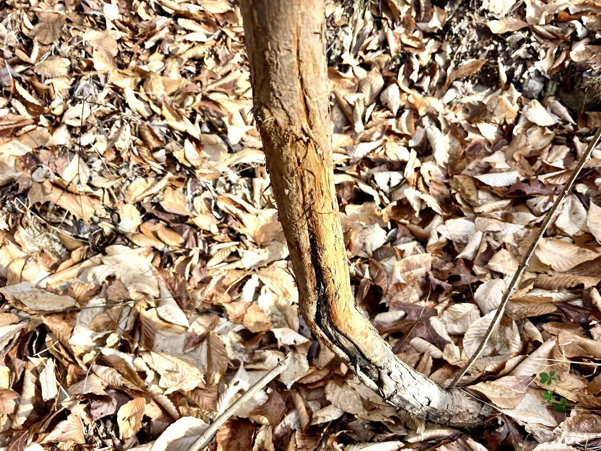 Victory Construction, LLC