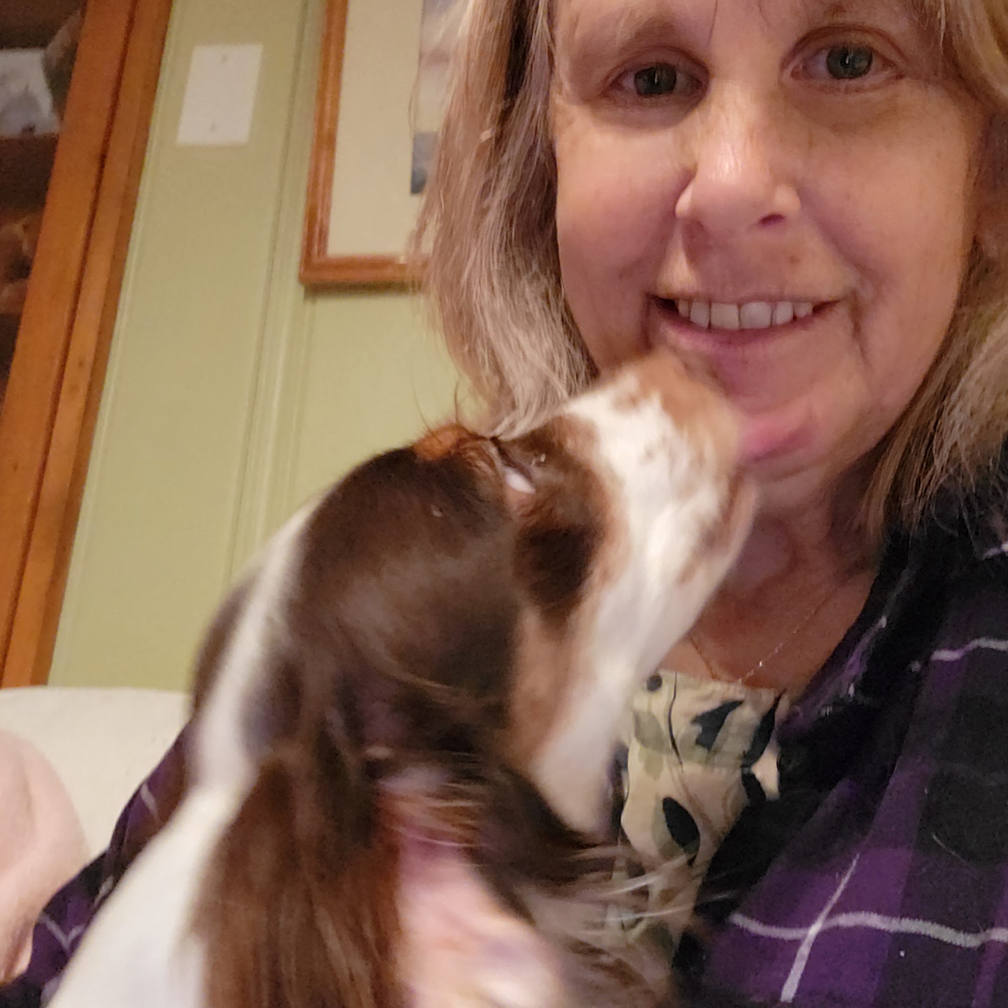 Purrfect Paws, LLC Harpers Ferry