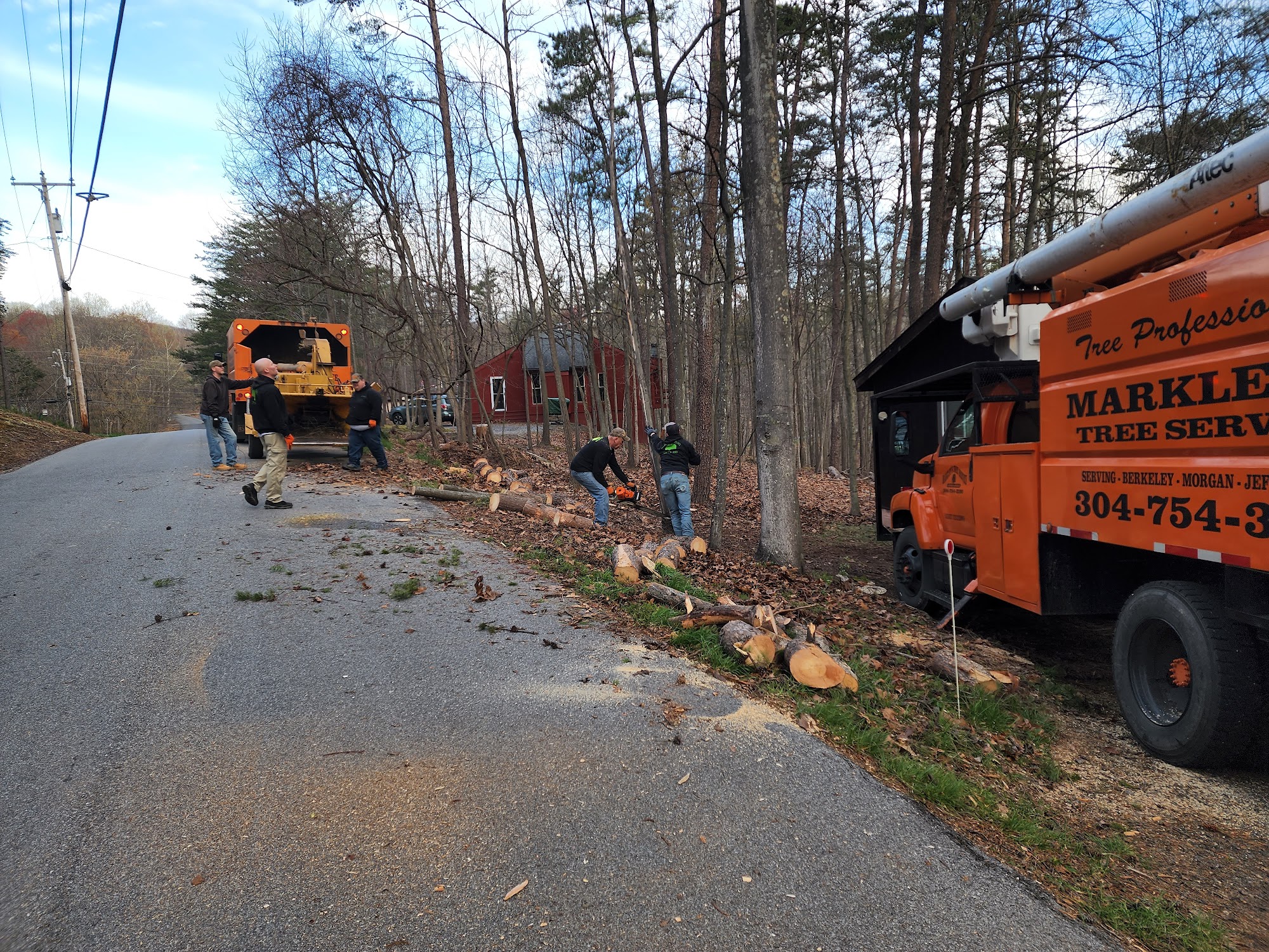 Markley's Tree Service