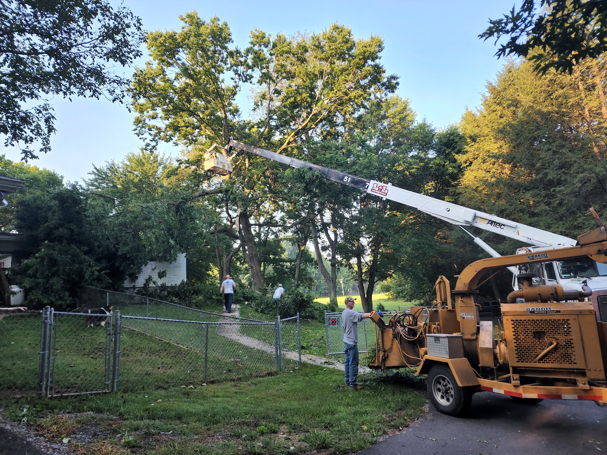Markley's Tree Service